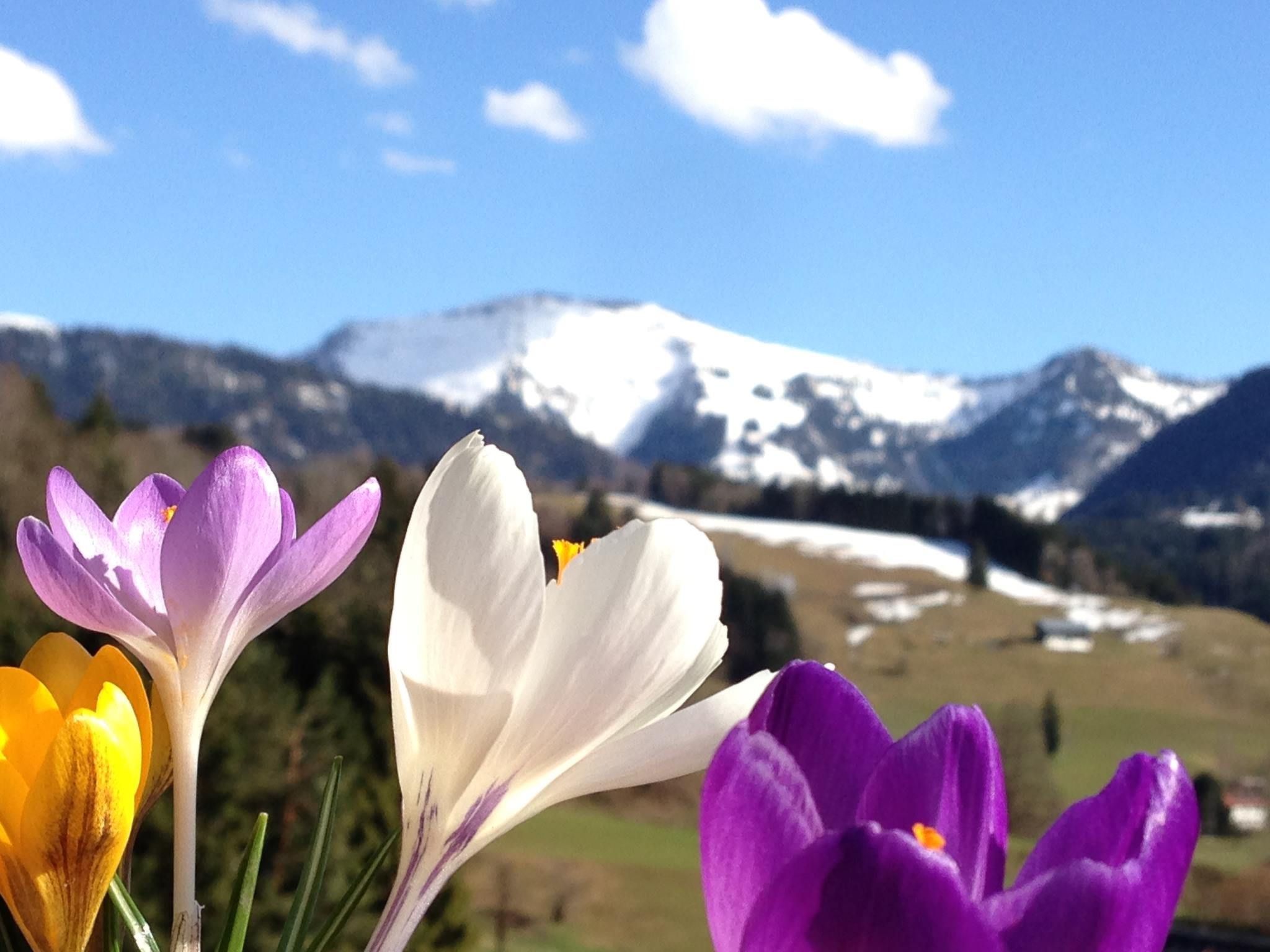 Photo of Sehnsucht Allgäu