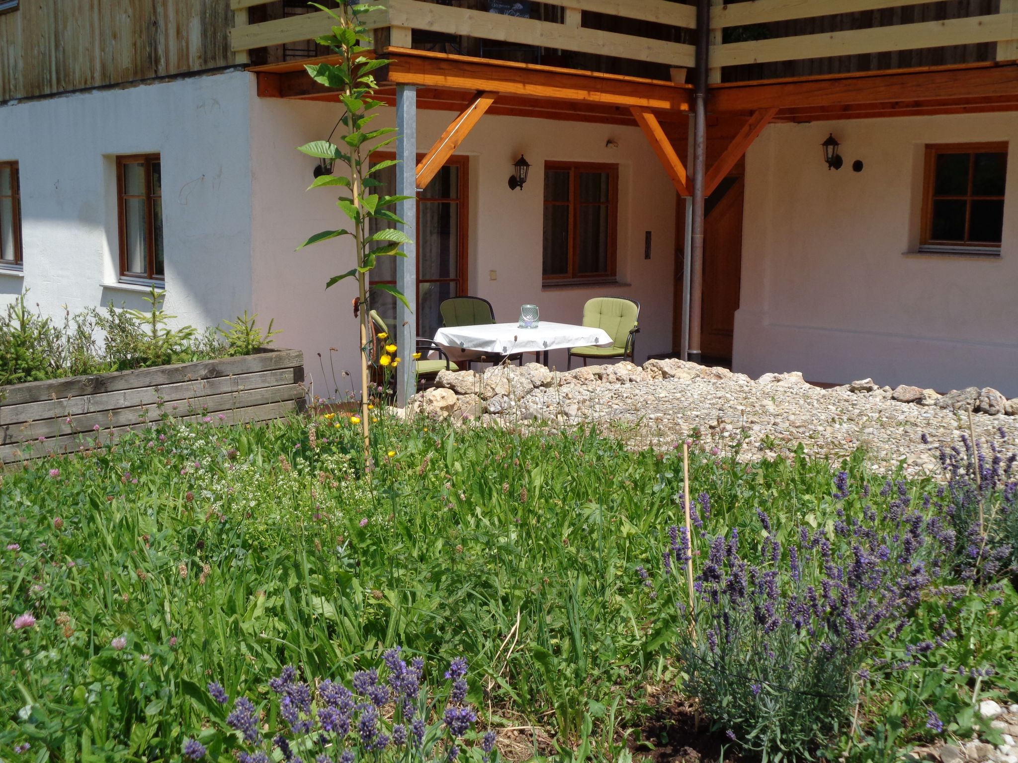 Photo of am Waldrand, ideal für Bergsport