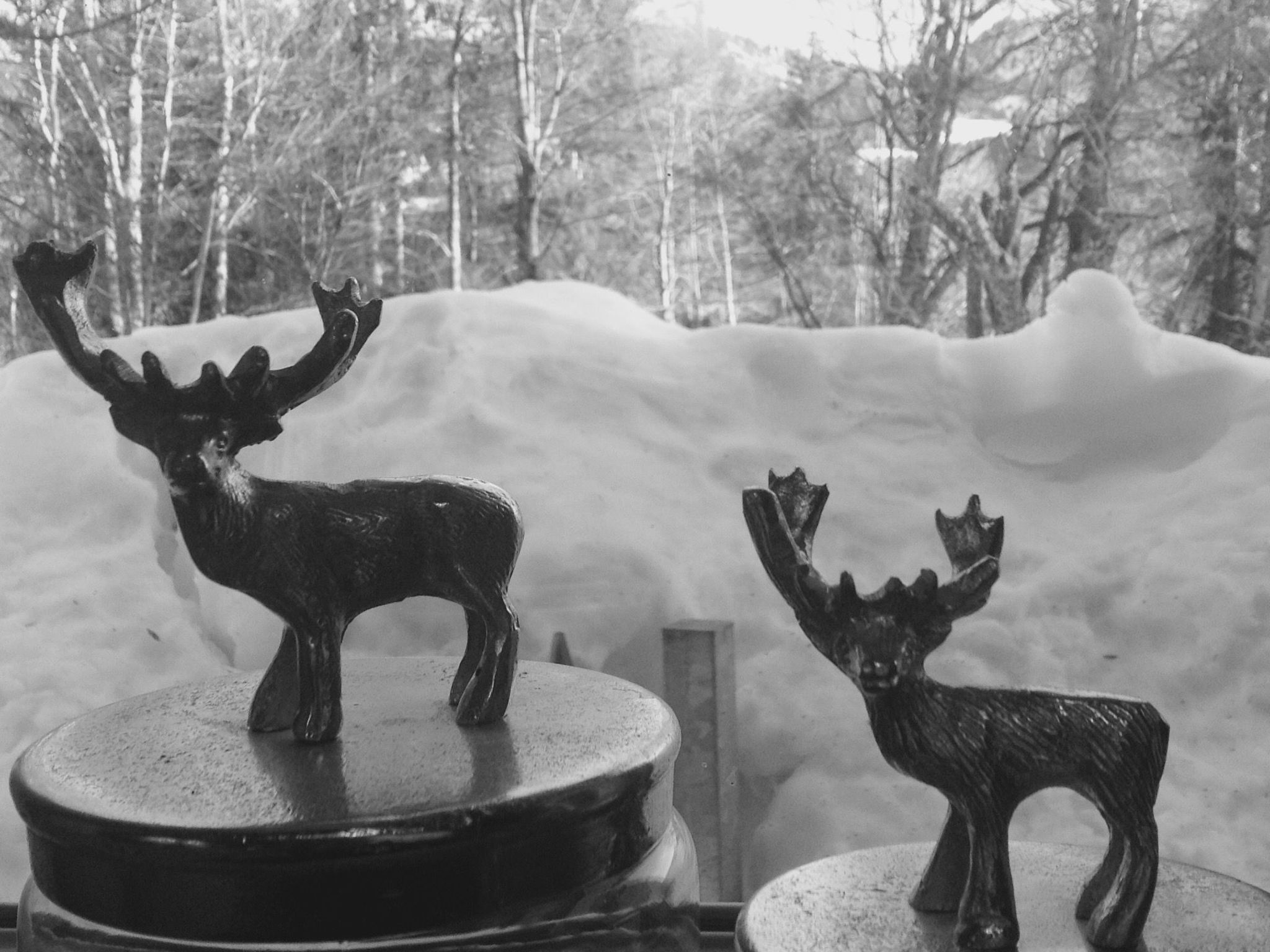 Kräuterhof-Ferienwohnung - Image-tags.info