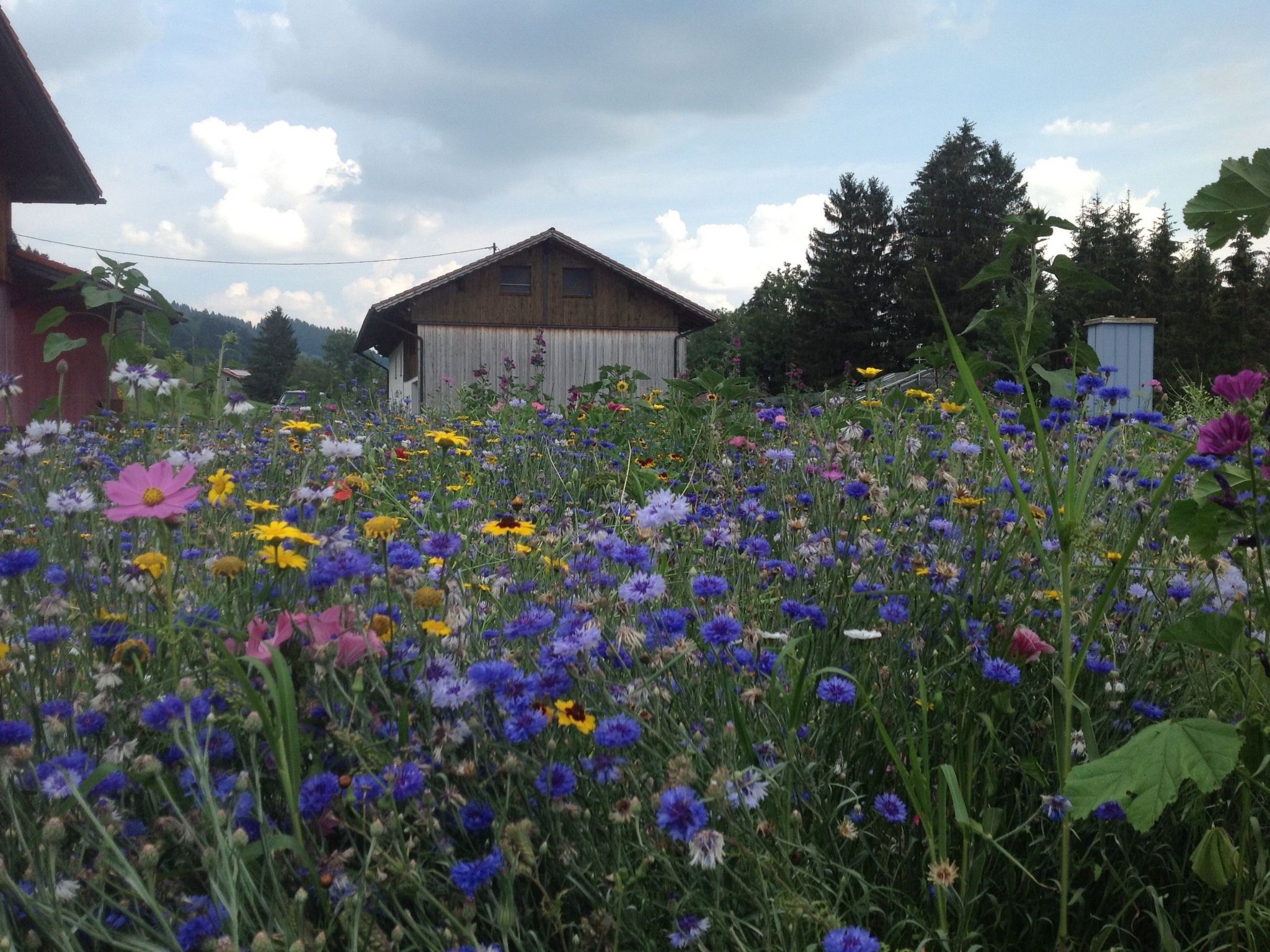 Kräuterhof-Ferienwohnung - Image-tags.info