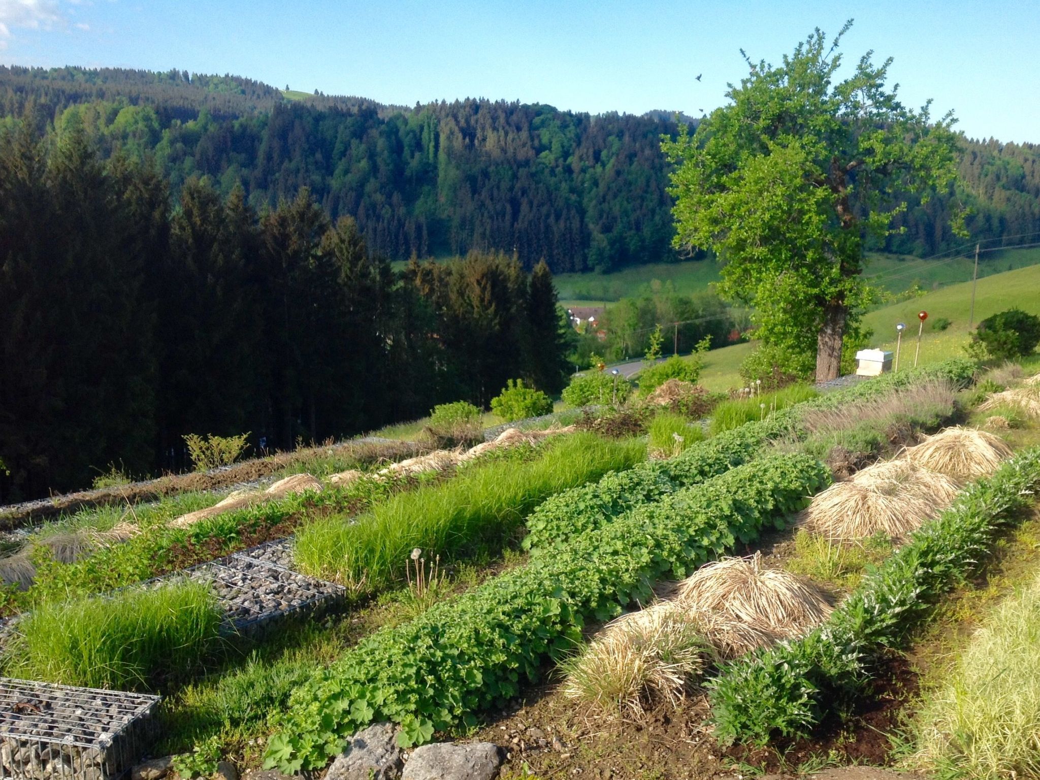 Kräuterhof-Ferienwohnung - Image-tags.info