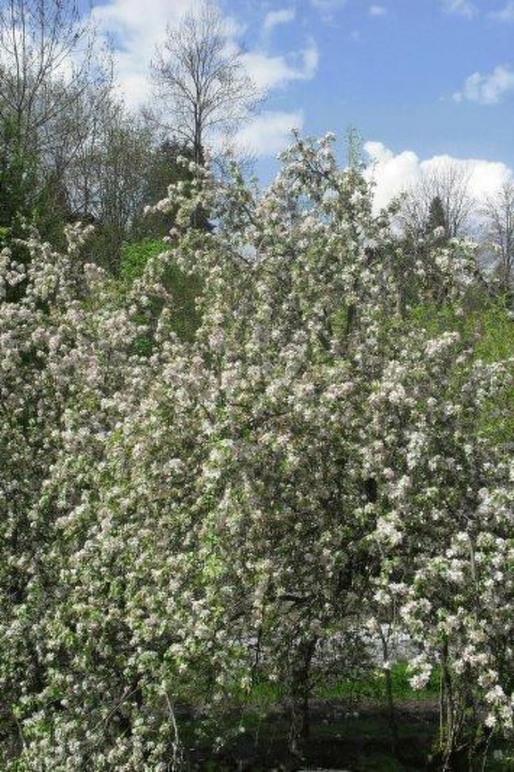 Sonnenbichl Wh 102-Binnen