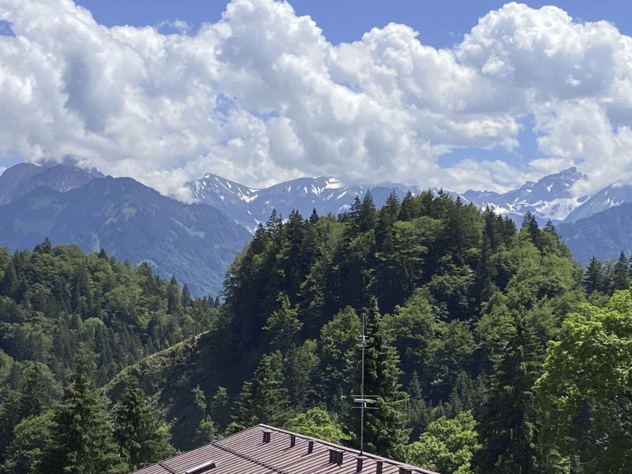 Falkenhorst Wh 25-Drinnen