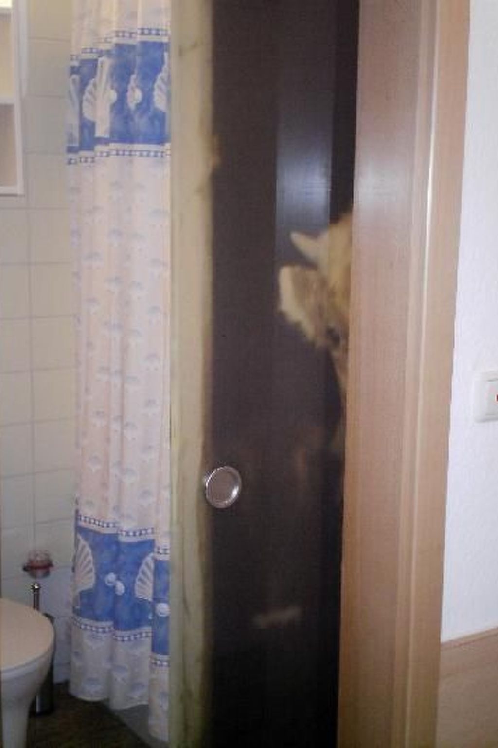 Falkenhorst Wh 41-Drinnen