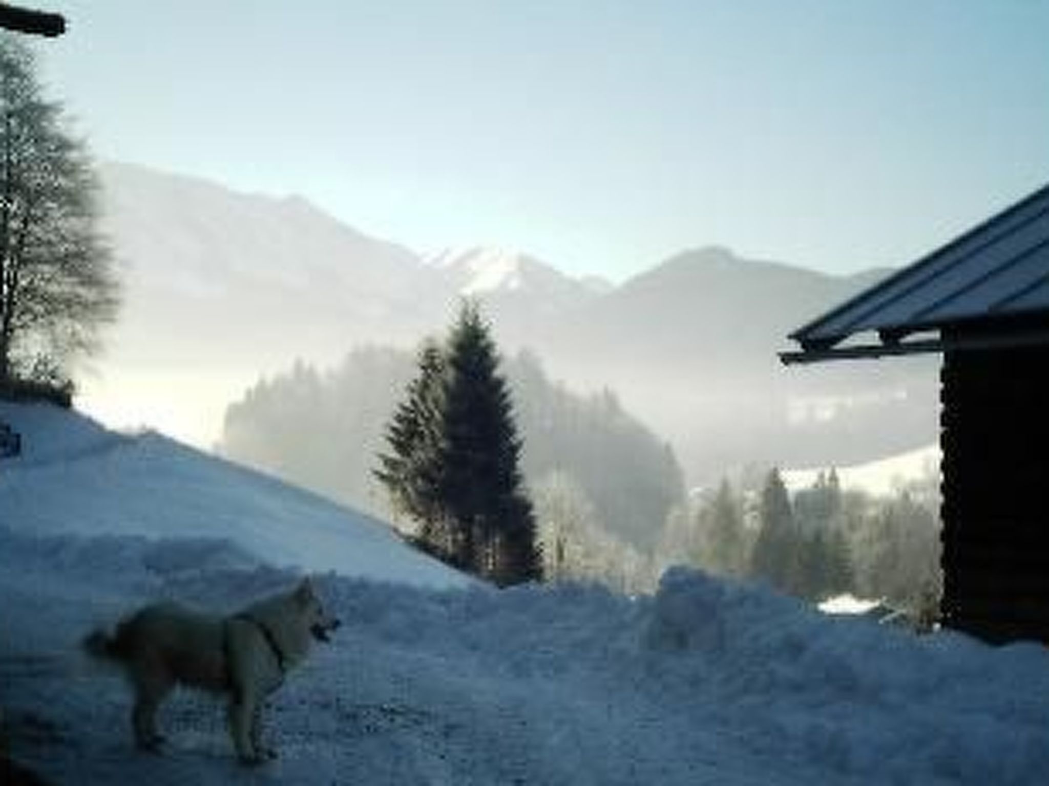 Falkenberg Wh 211-Binnen