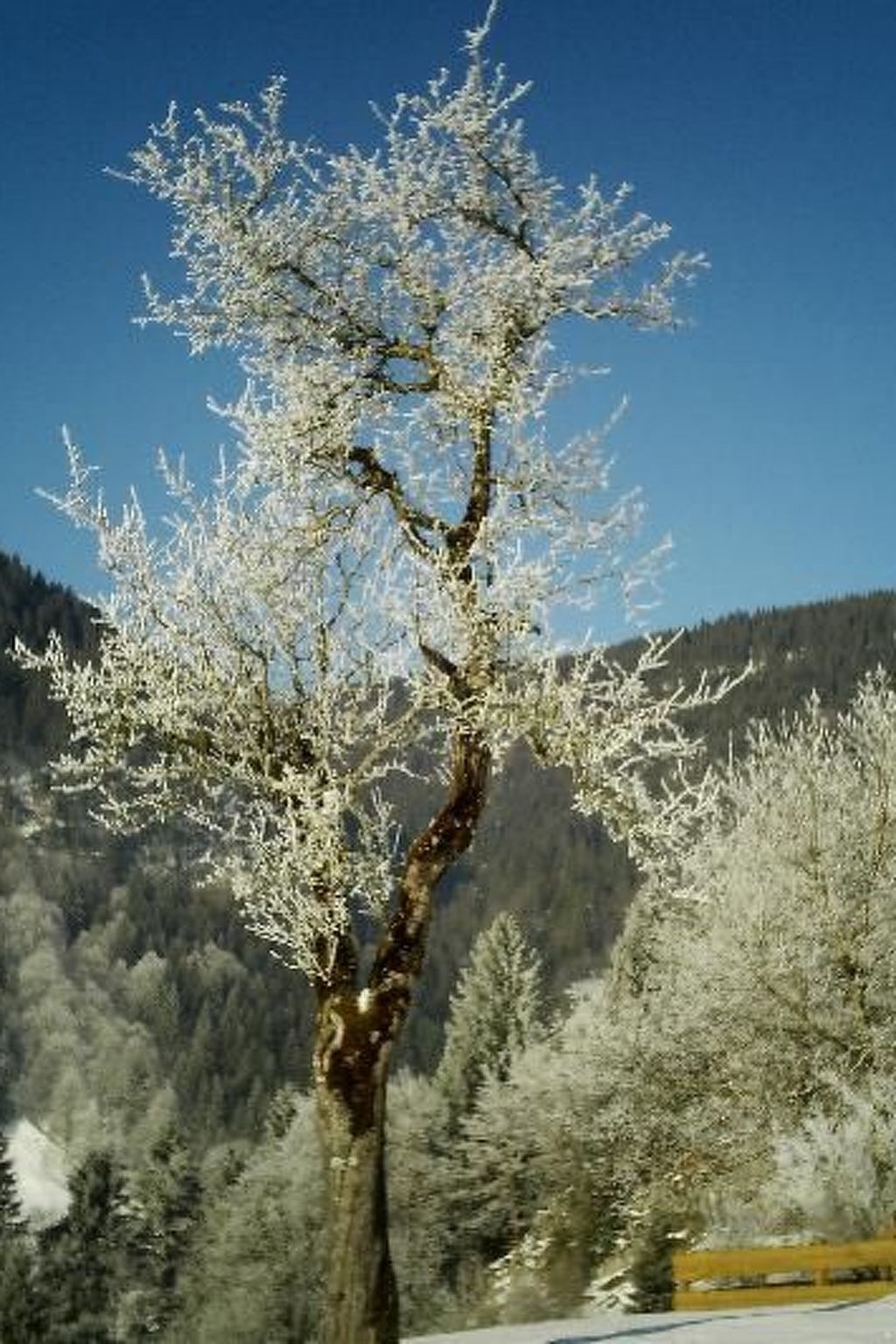 Falkenberg Wh 211-Binnen