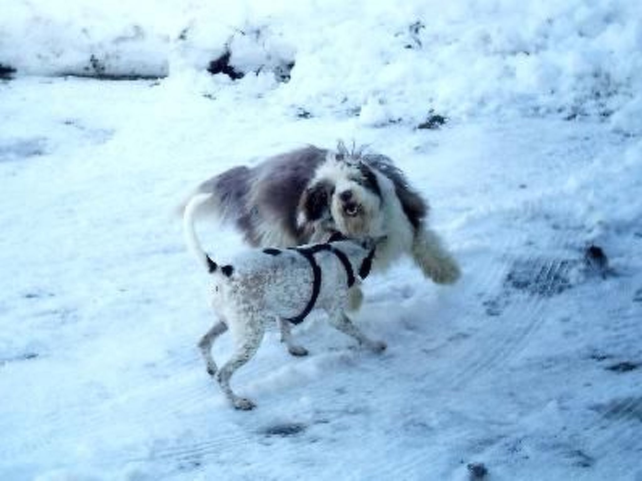 Falkenberg Wh 211-Binnen