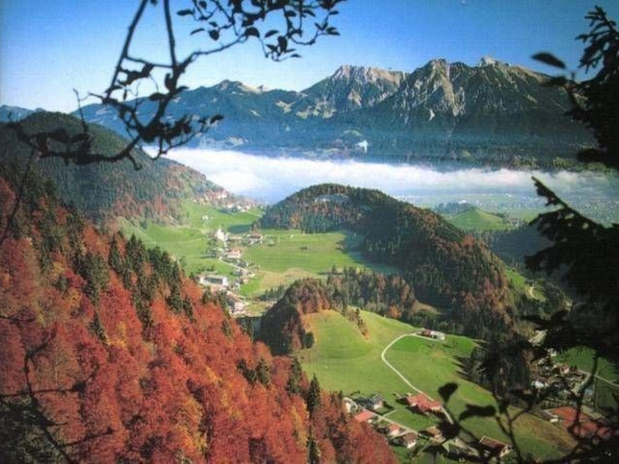 Falkenberg Wh 206-Inside