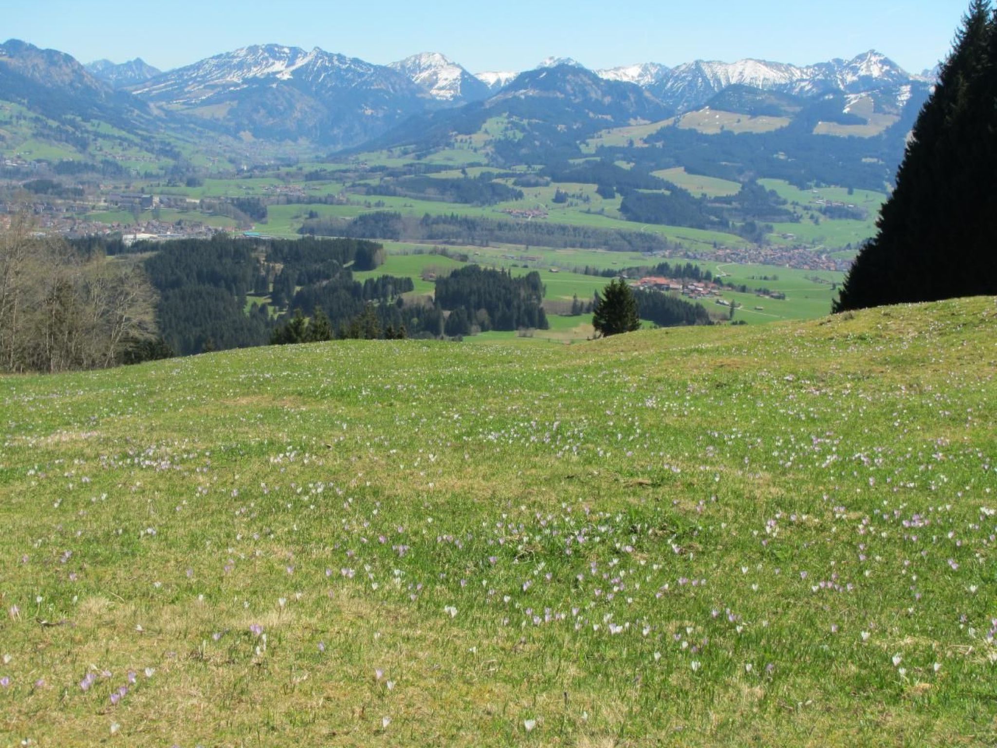 Mit Hallenbad-Drinnen