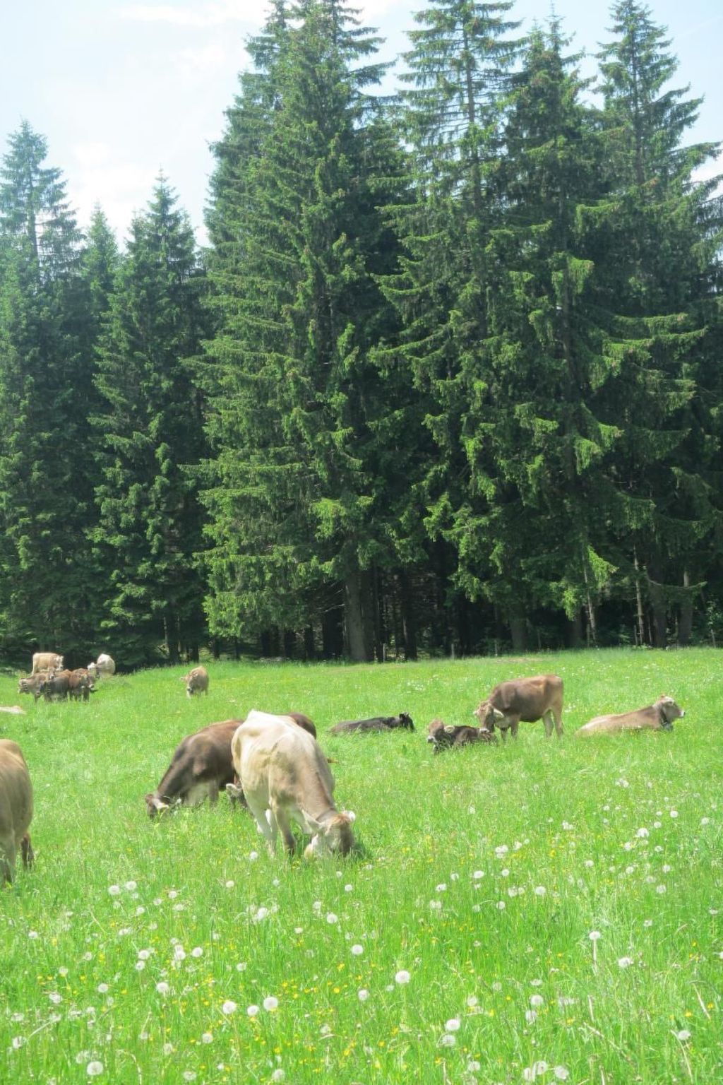 Mit Hallenbad-Drinnen