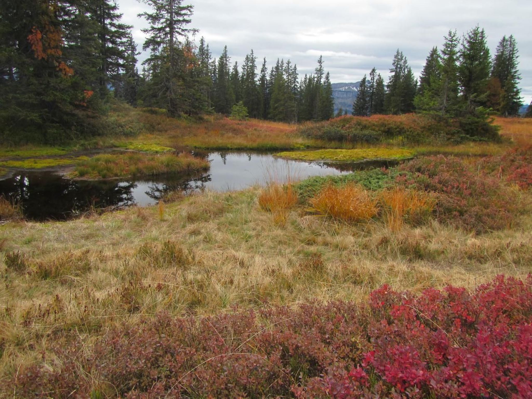 Mit Hallenbad-Drinnen