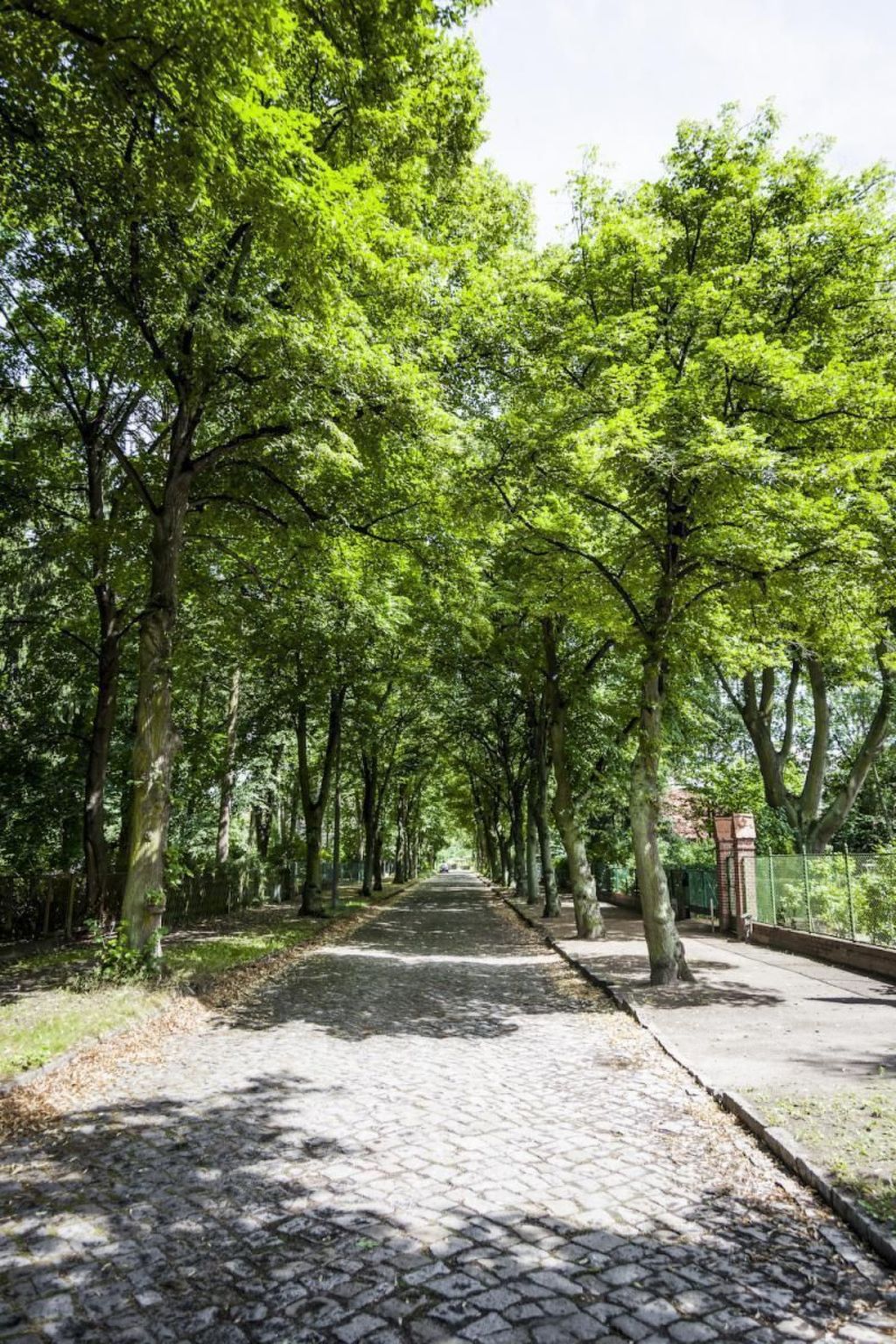 Haus am See-Image-tags.info