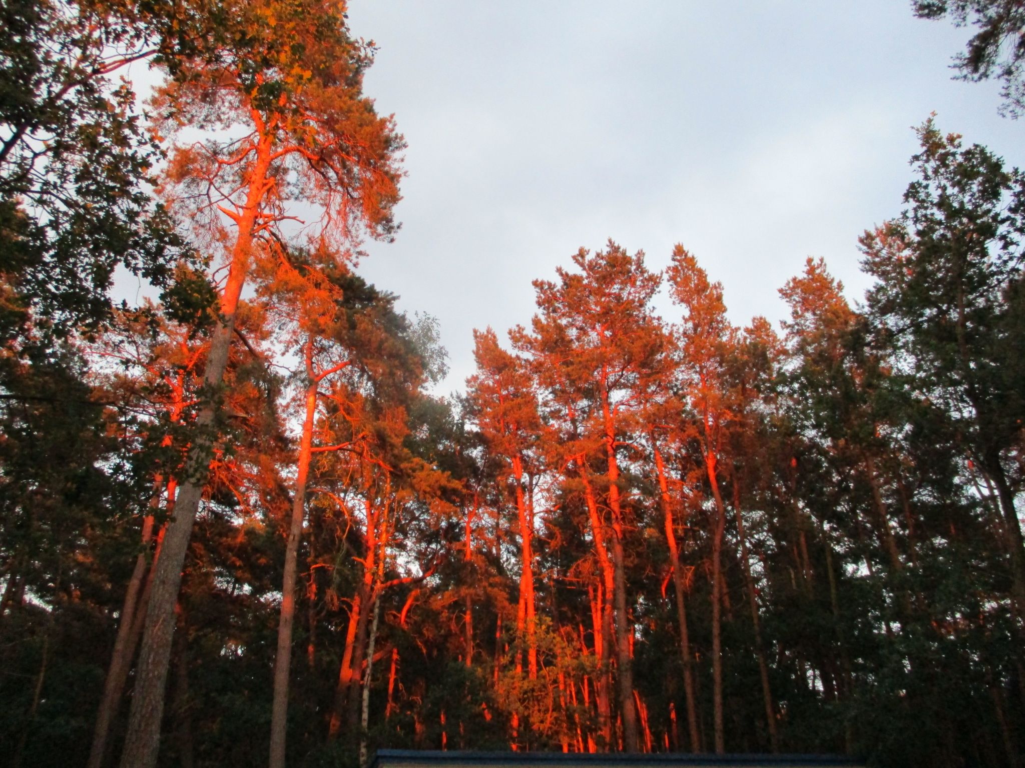 Appartement mit Garten, Grill und Terrasse-Image-tags.info