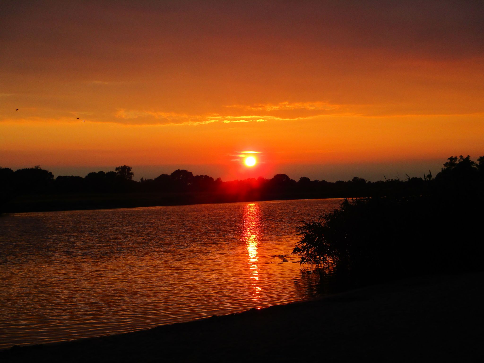 Appartement mit Garten, Grill und Terrasse-Image-tags.info