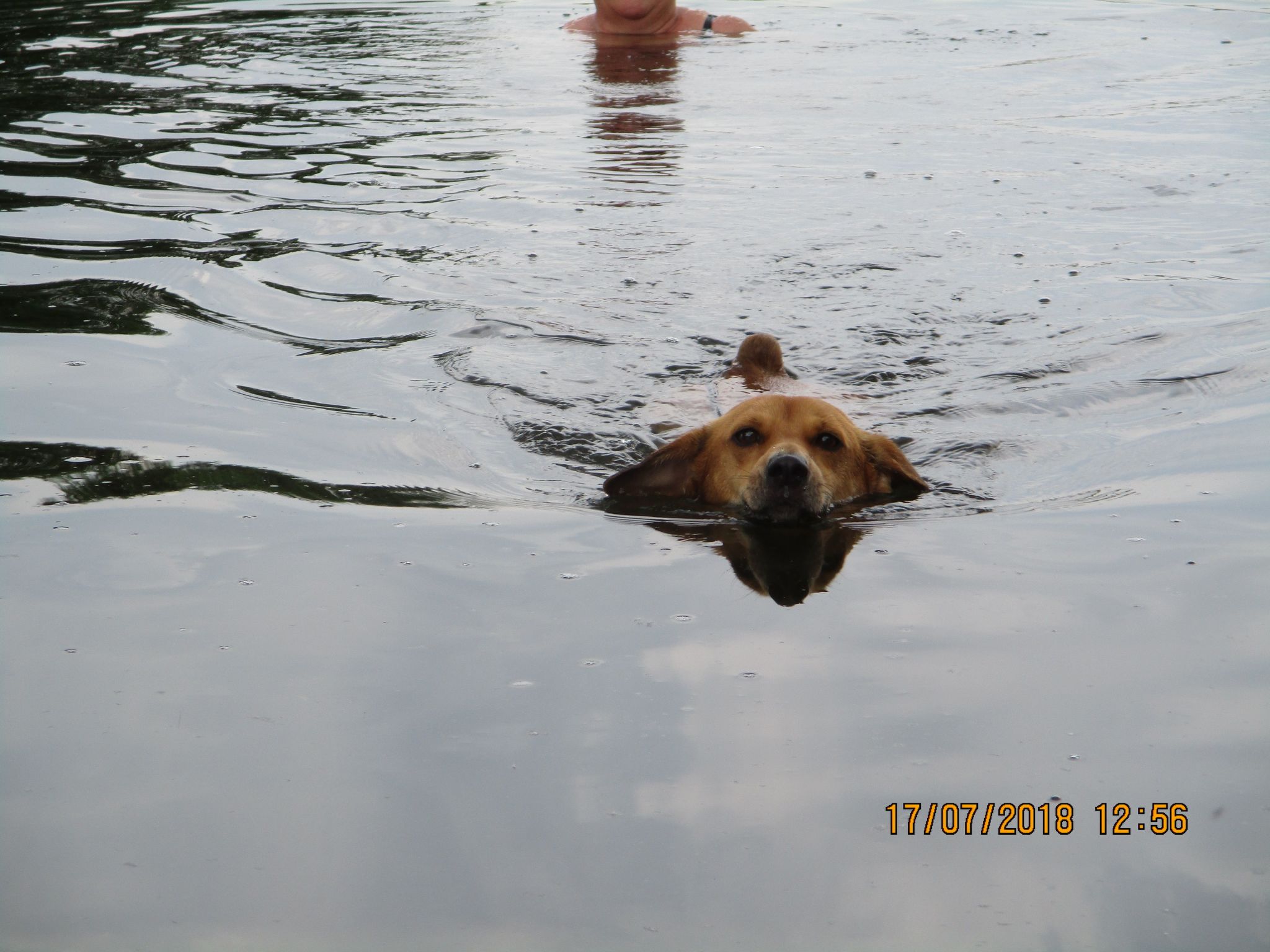 Appartement mit Garten, Grill und Terrasse-Image-tags.info