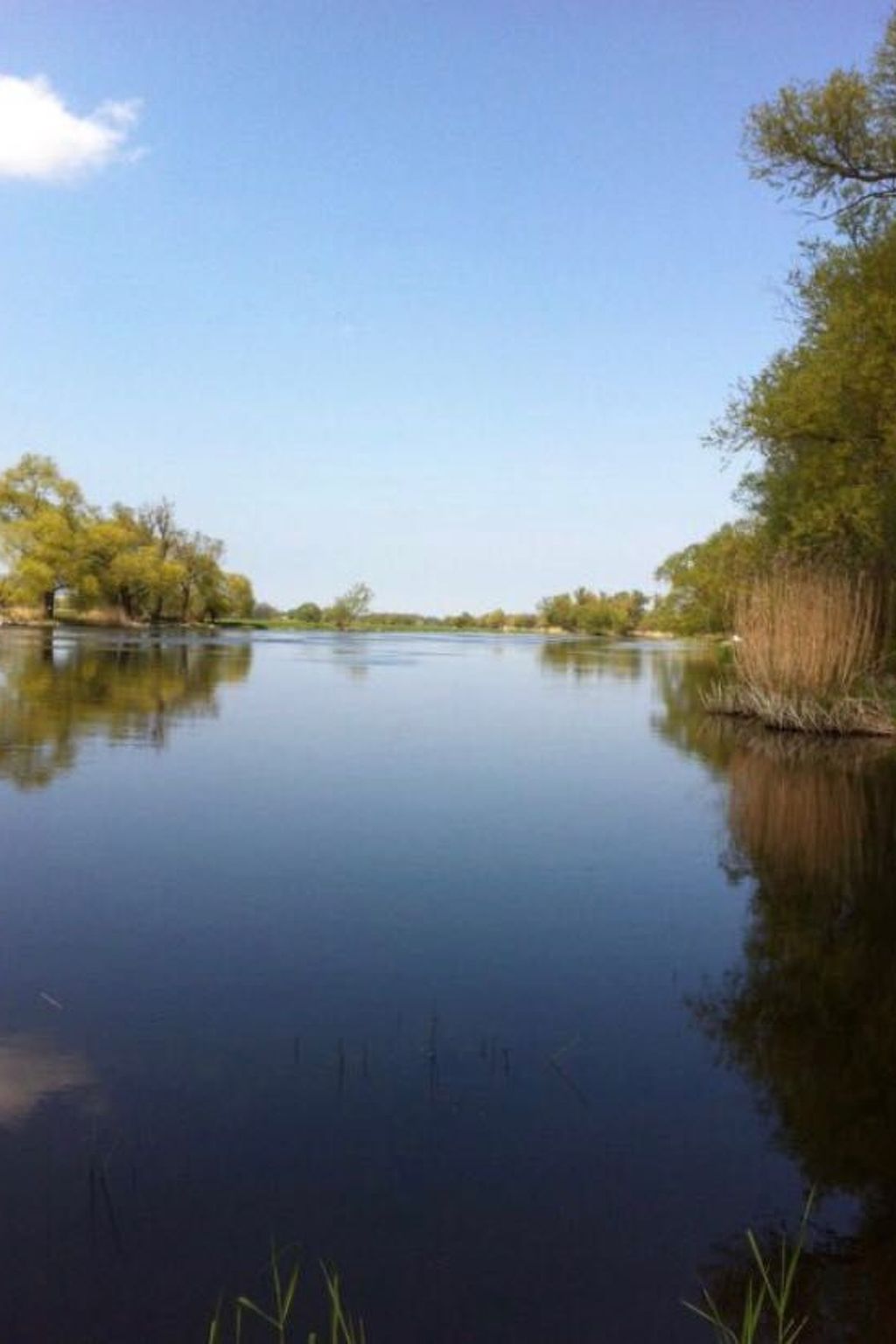 Appartement mit Garten, Grill und Terrasse-Image-tags.info