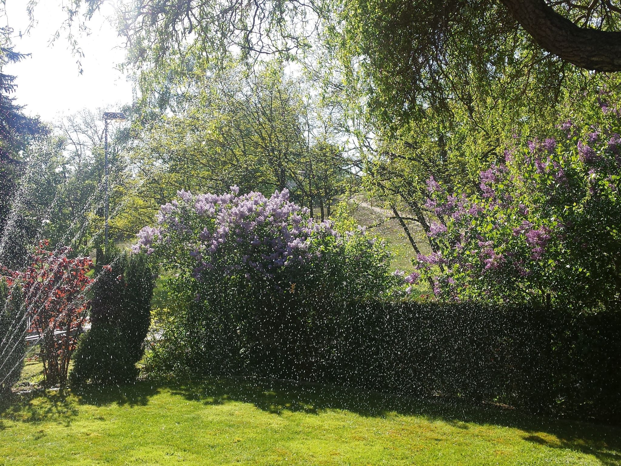 Mit Garten, Grill und Terrasse-Inside