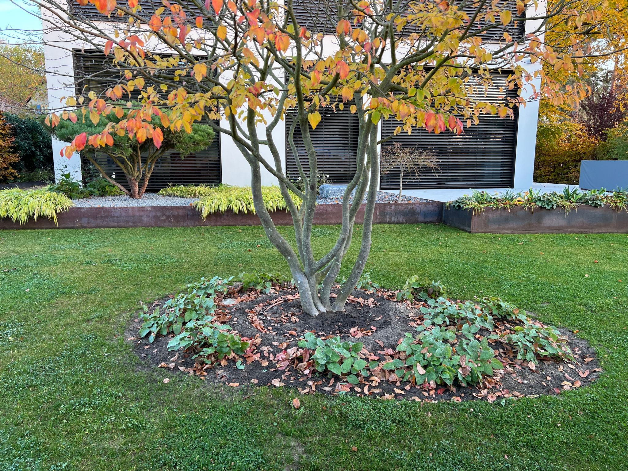 Modernes Einfamilienhaus-Draußen
