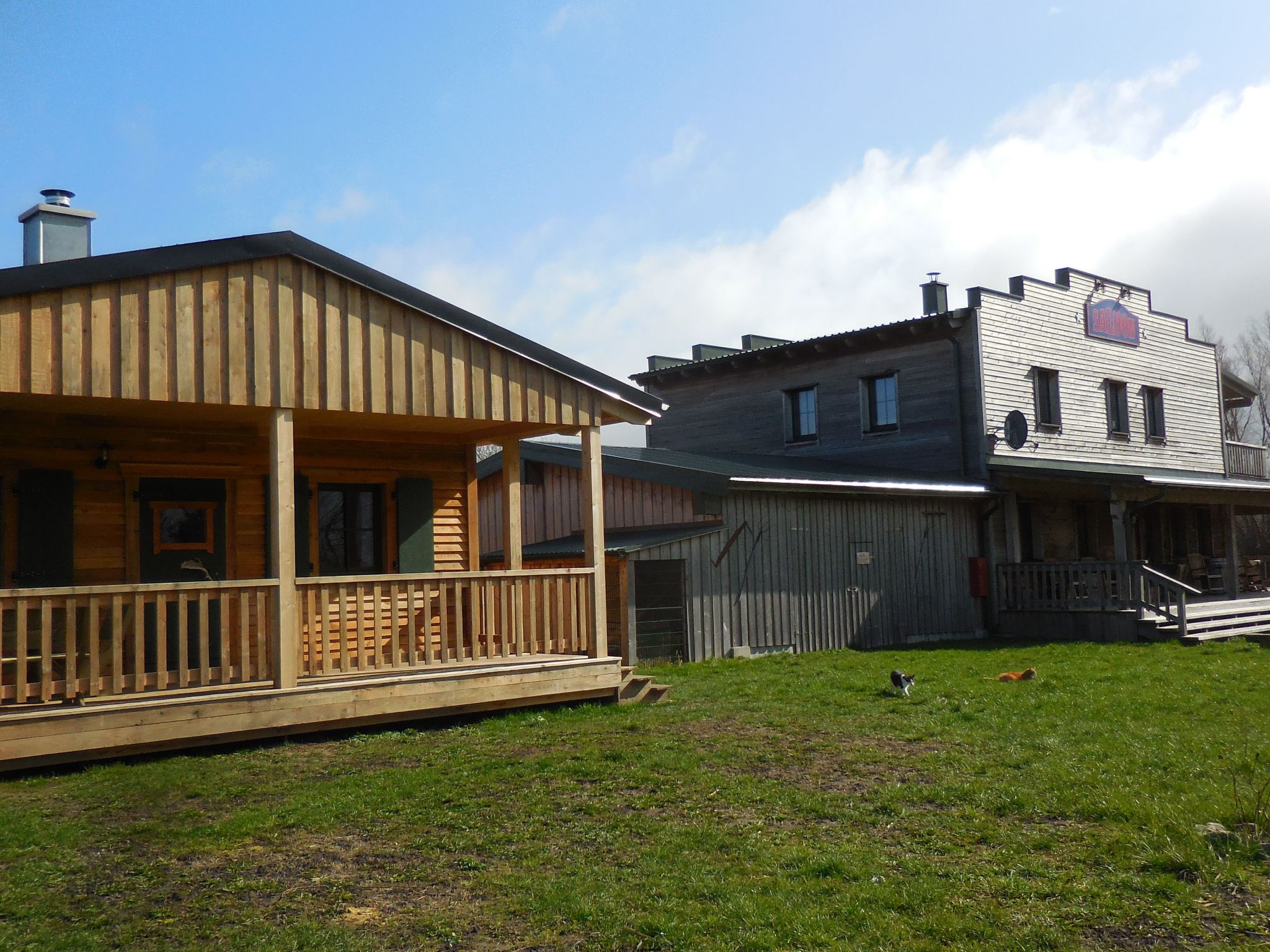 Horse Lake Ranch-Binnen