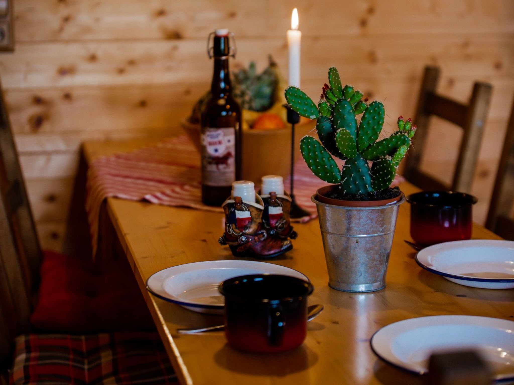 Horse Lake Ranch-Binnen