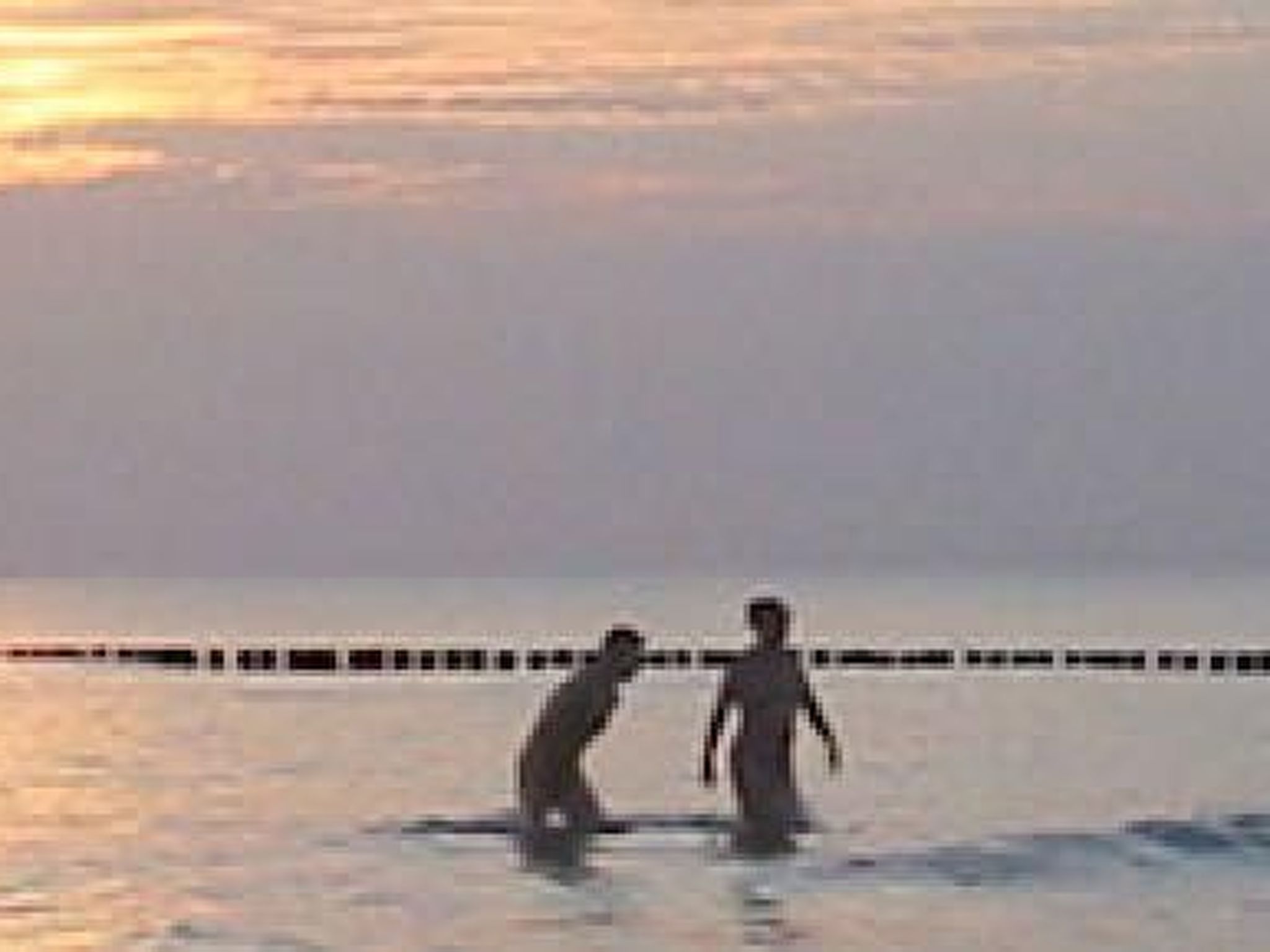 Horse Lake Ranch-Binnen