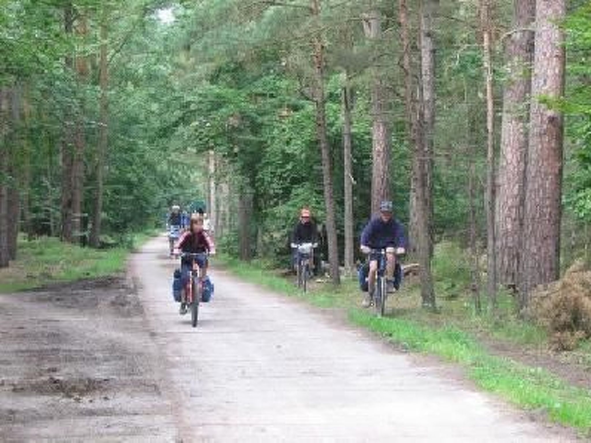 Horse Lake Ranch-Binnen