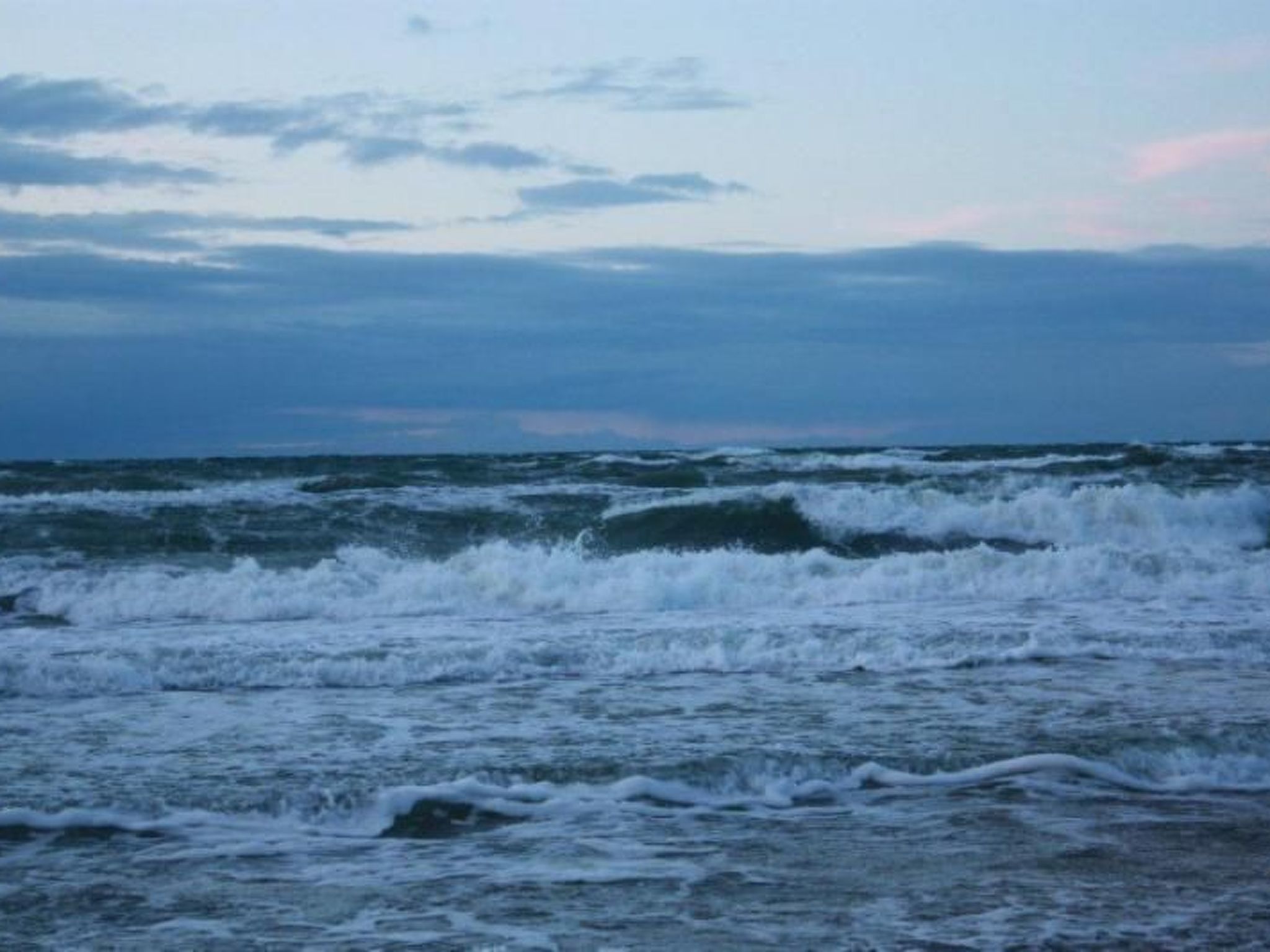 Schwalbe-Image-tags.info