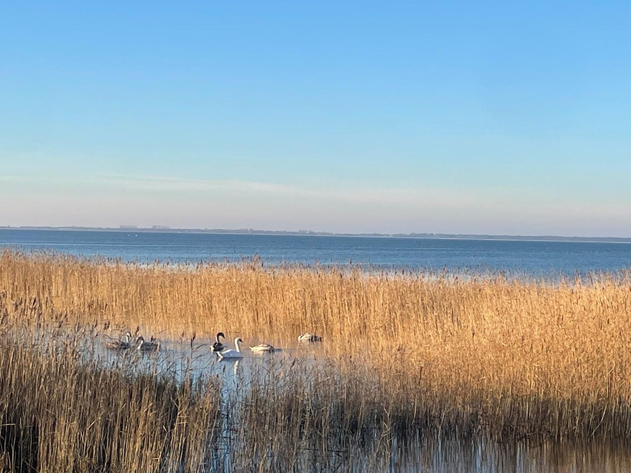 Haus Saaler Bodden-Inside