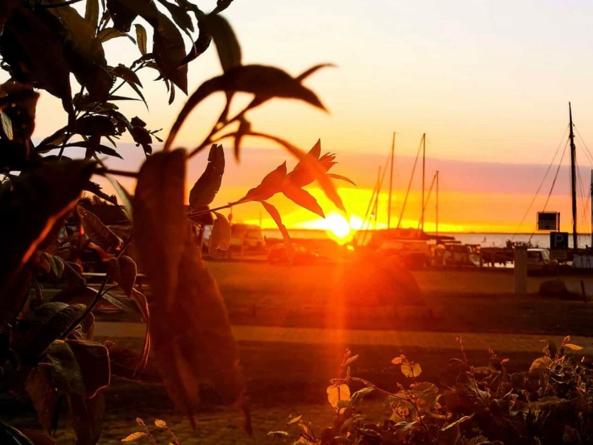 "Saaler Bodden"-Binnen