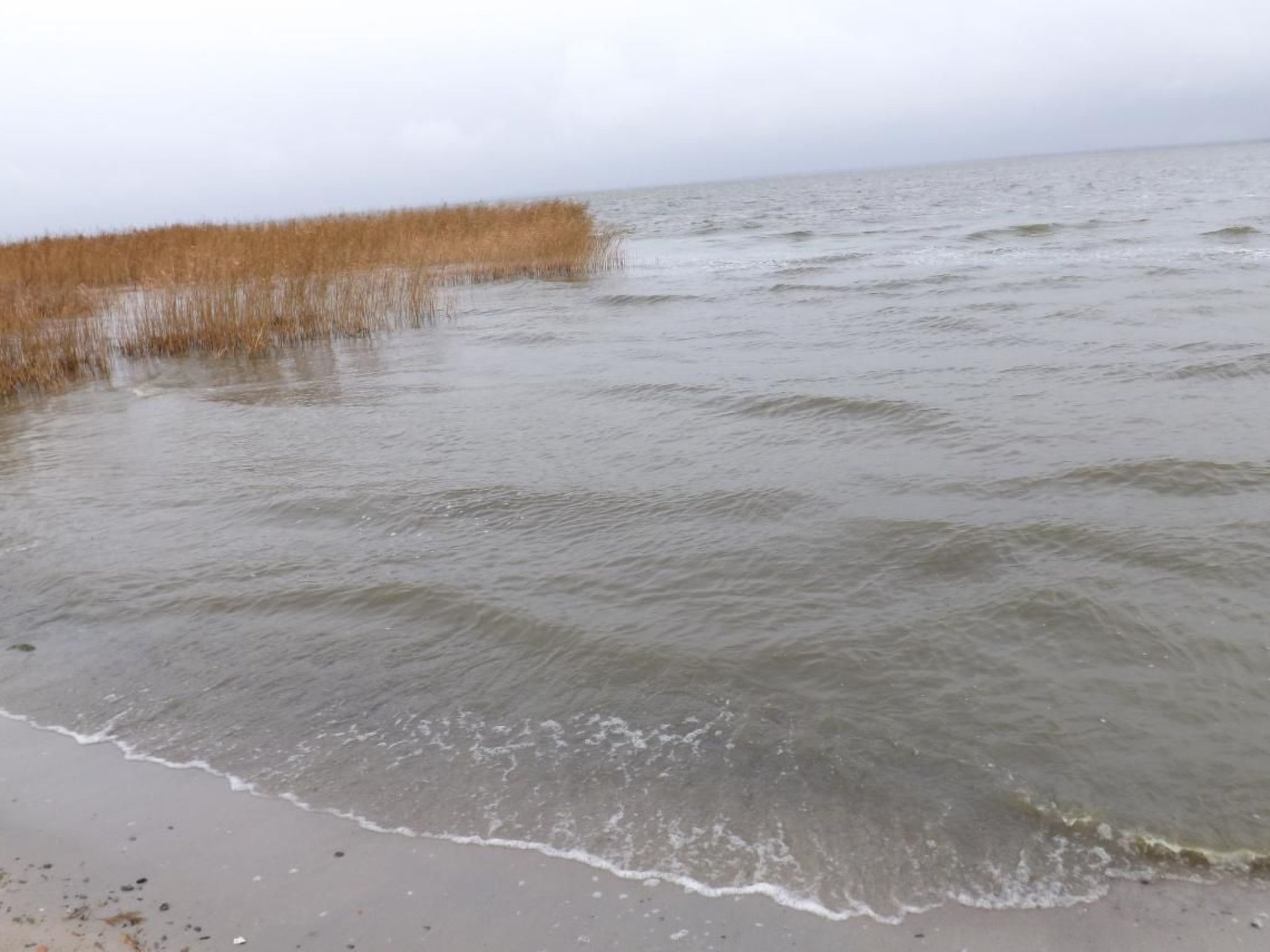 "Saaler Bodden"-Binnen