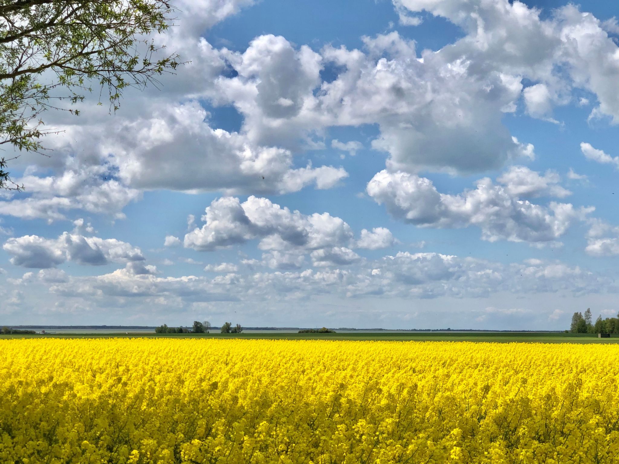 "Saaler Bodden"-Binnen