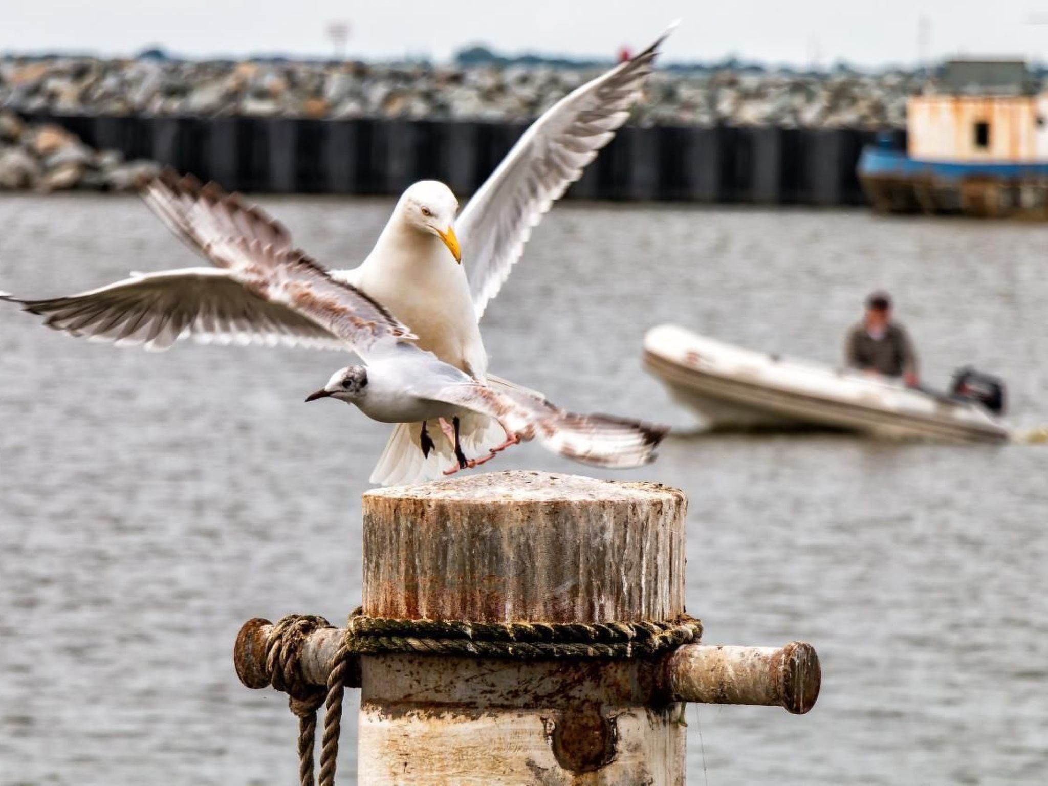 "Saaler Bodden"-Binnen