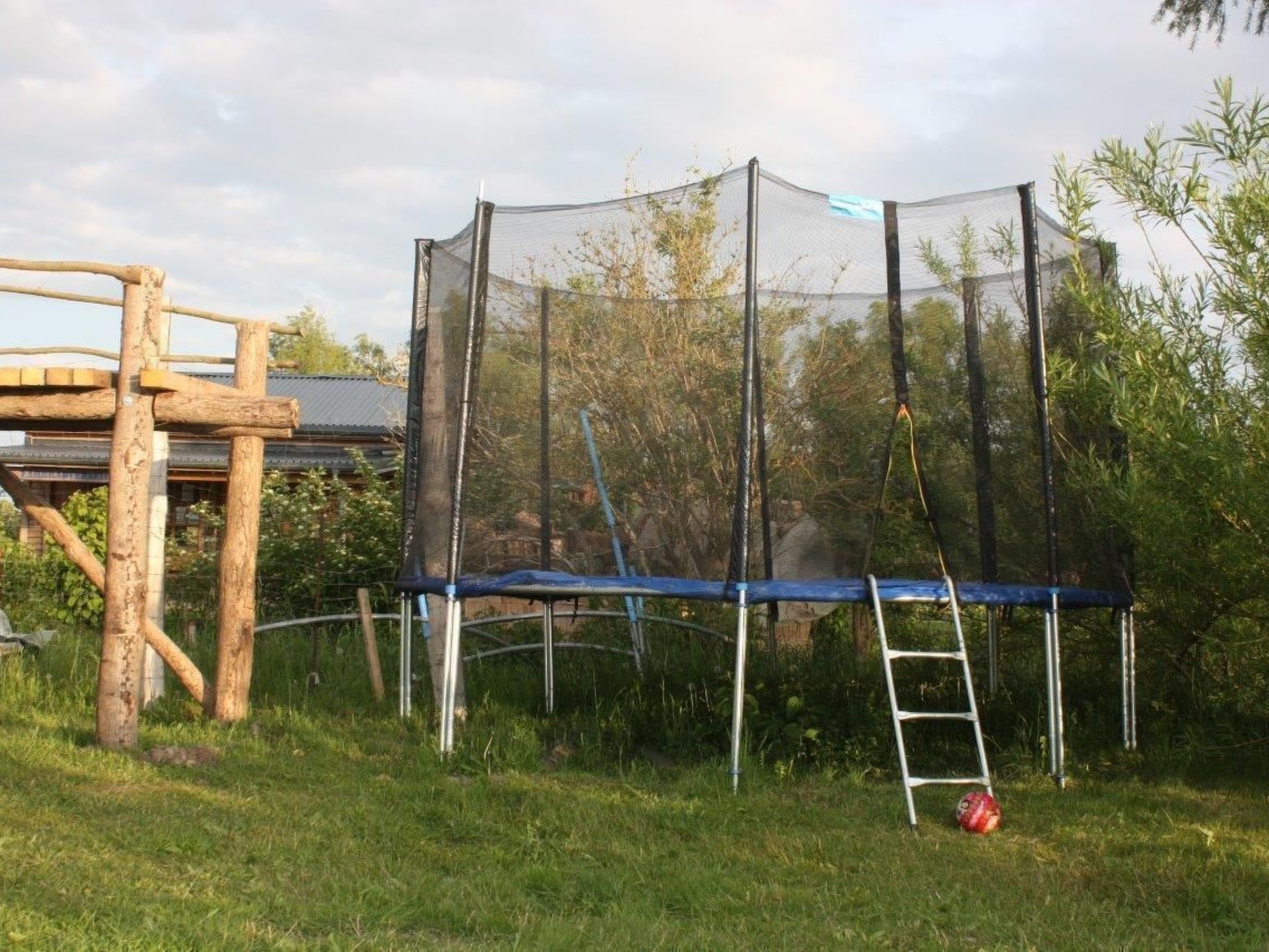 Dünengras-Image-tags.info