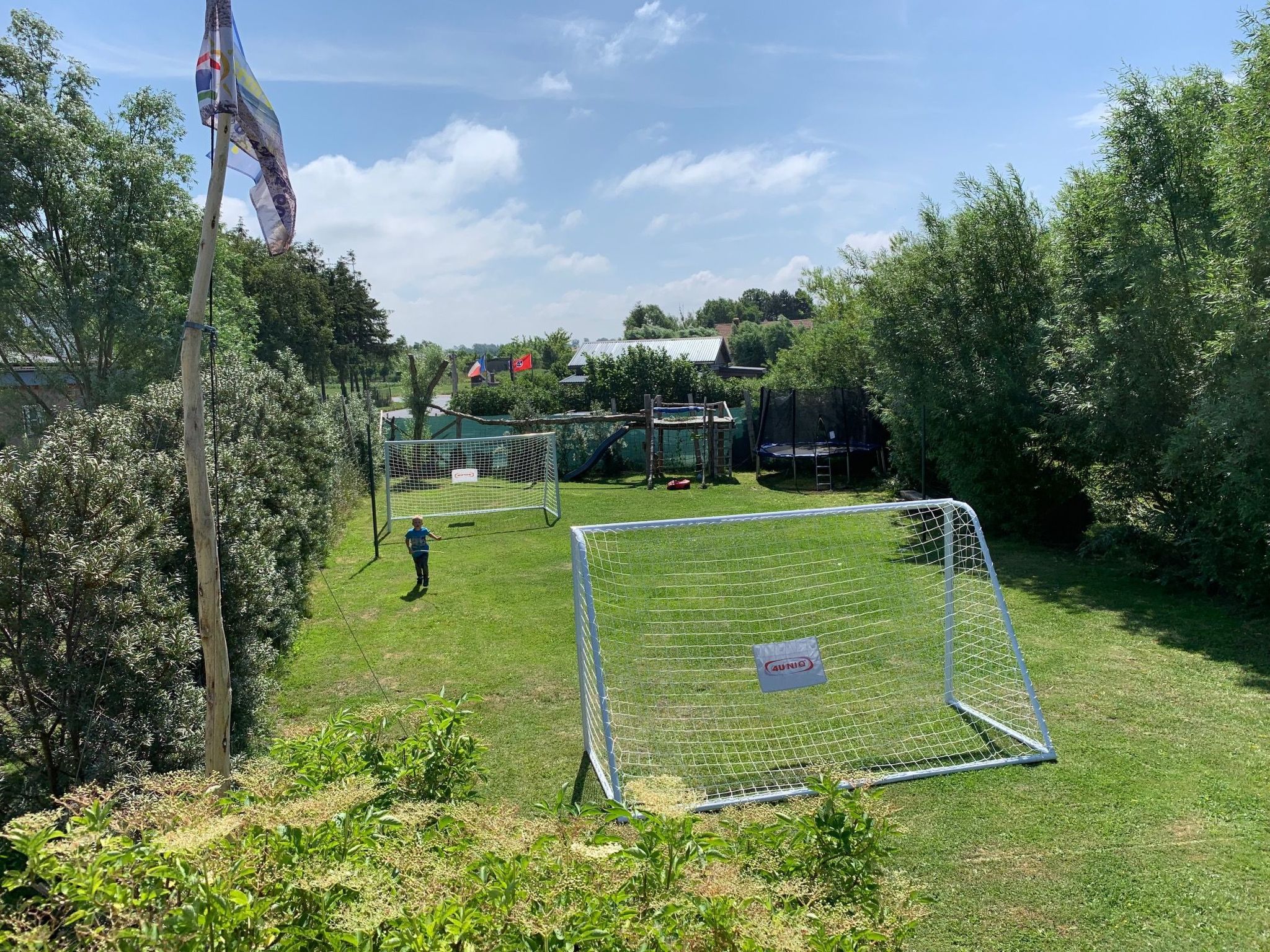 Dünengras-Image-tags.info