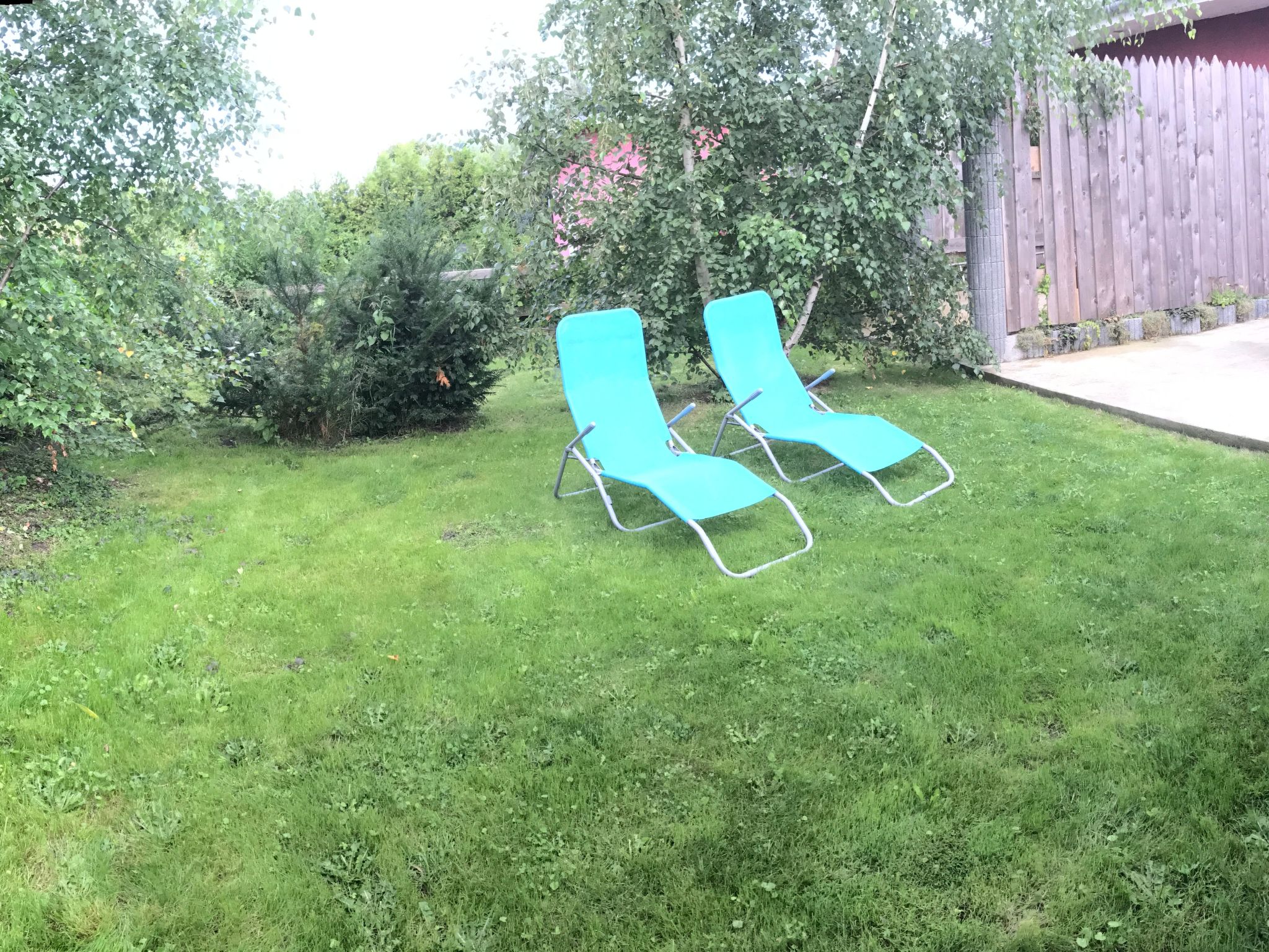 Dünengras-Image-tags.info