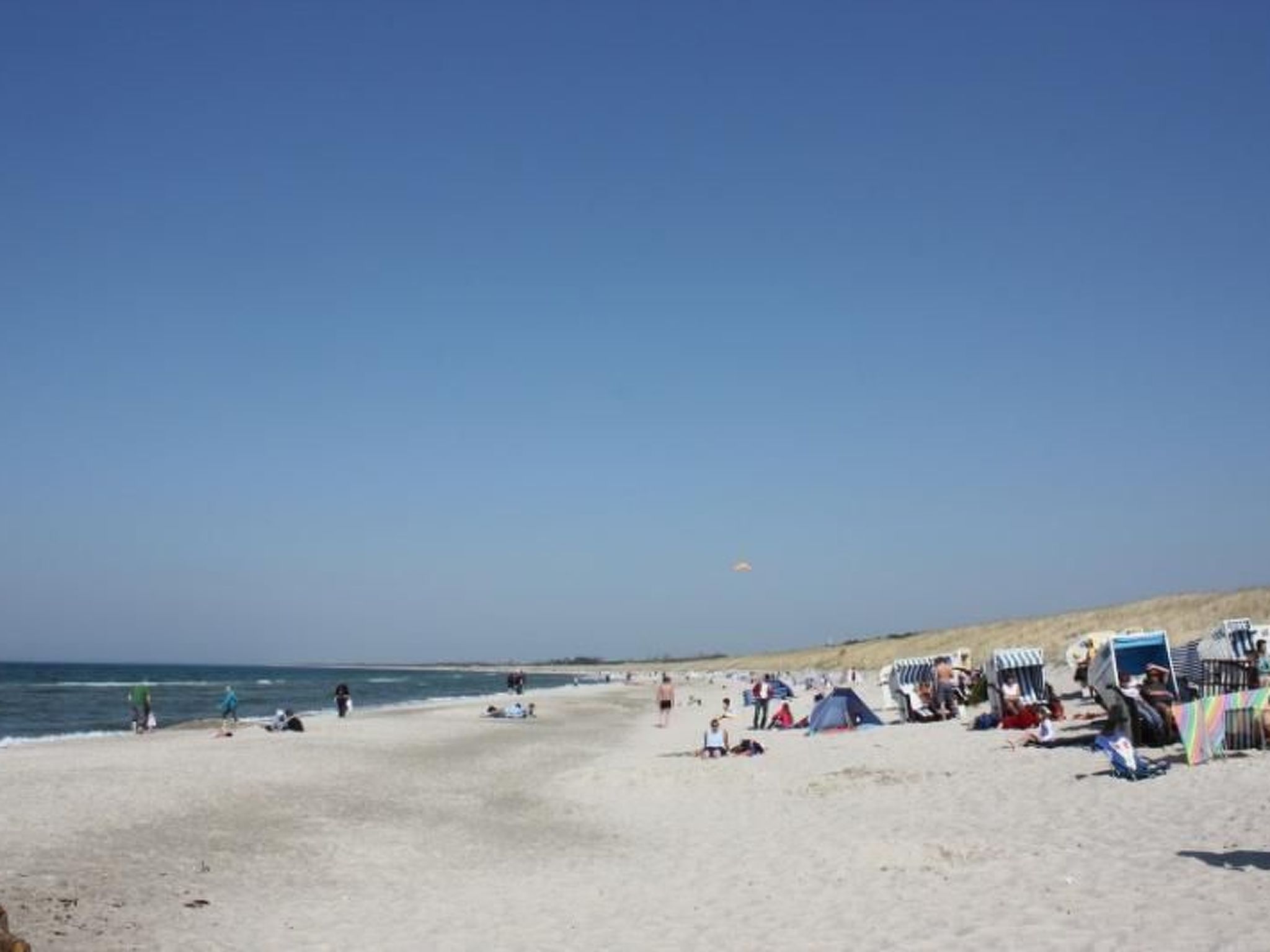 Dünengras-Image-tags.info