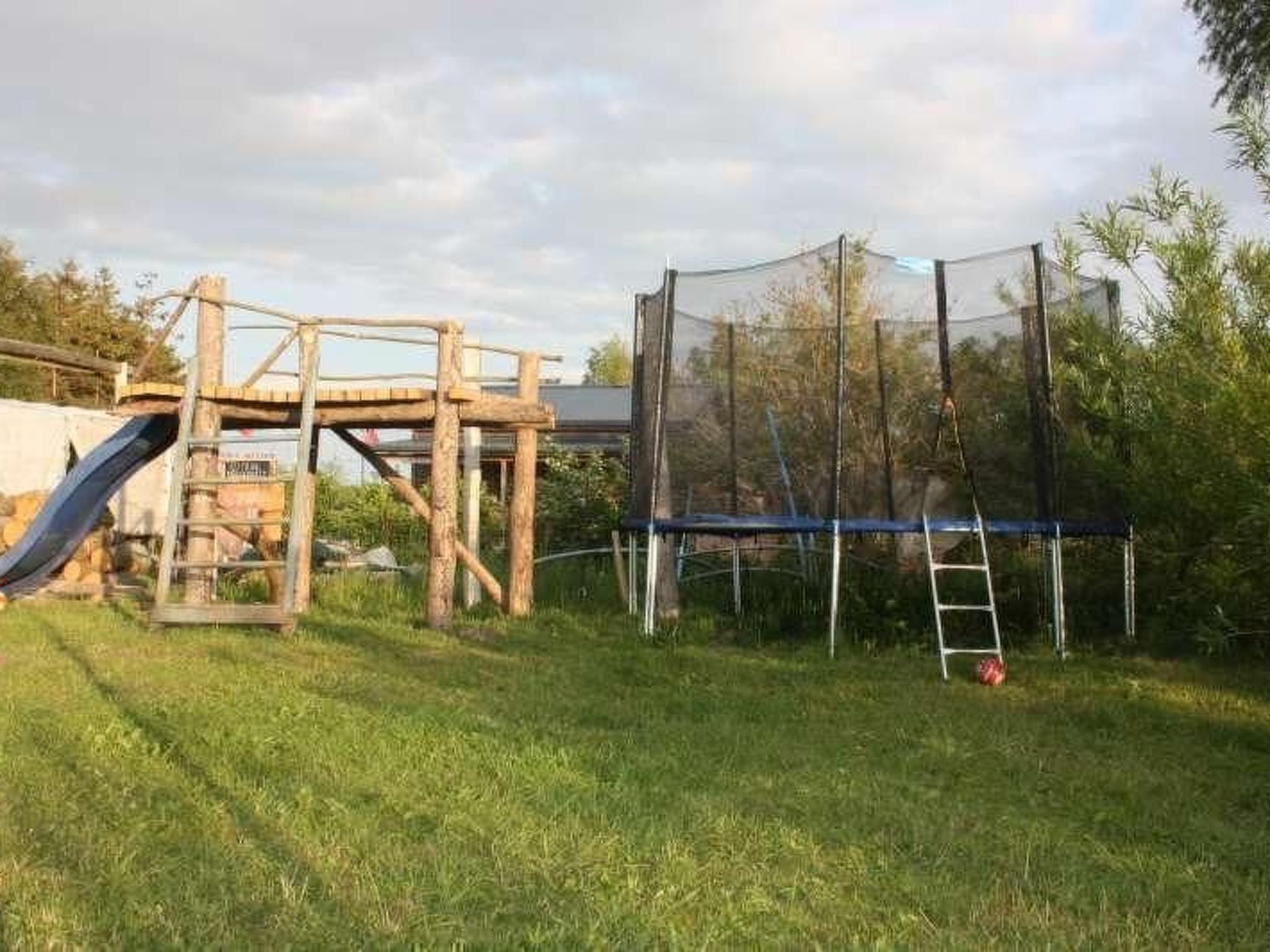 Dünengras-Image-tags.info