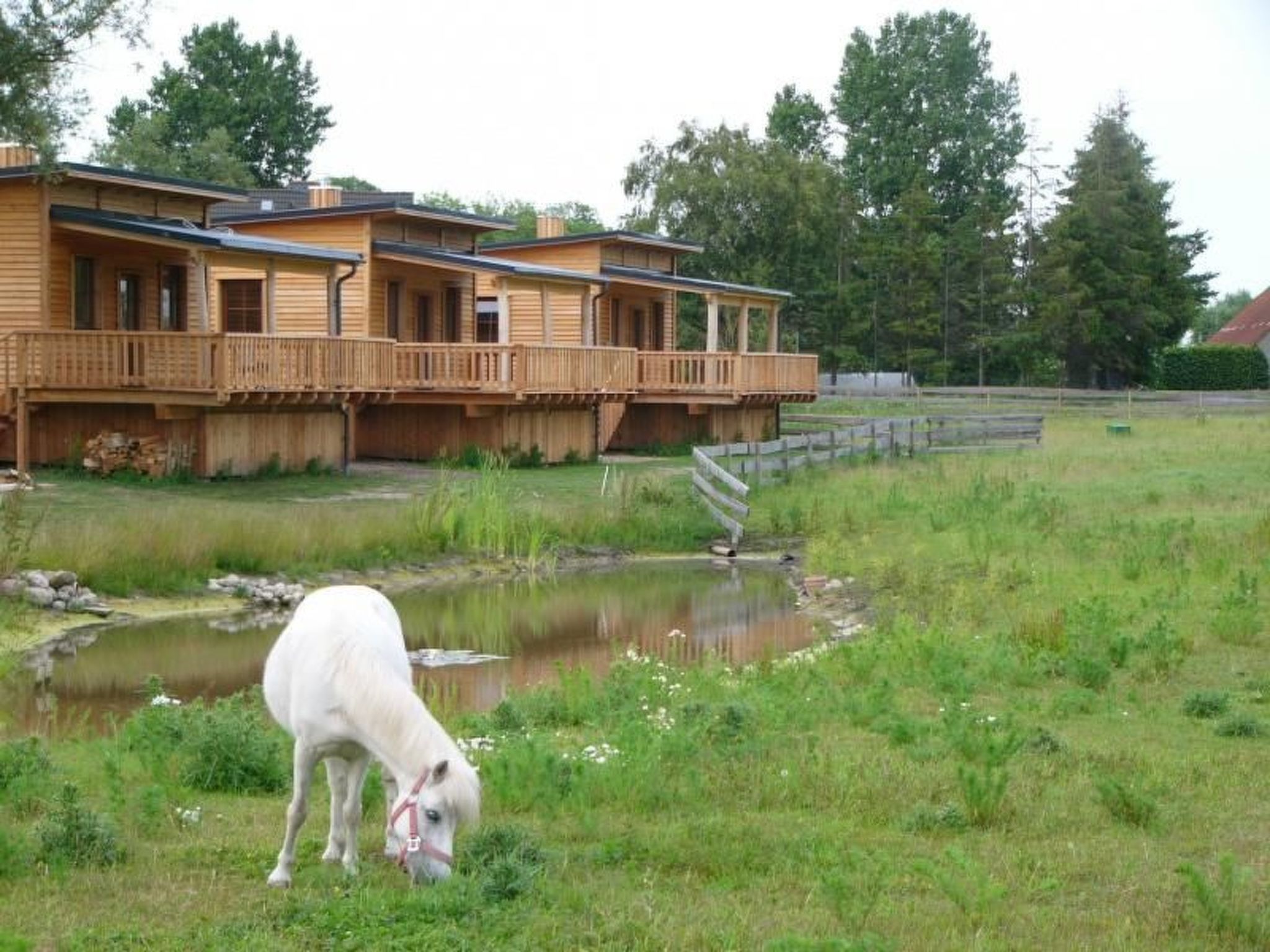 Rustikales Holzferienhaus mit großer Terrasse-Binnen