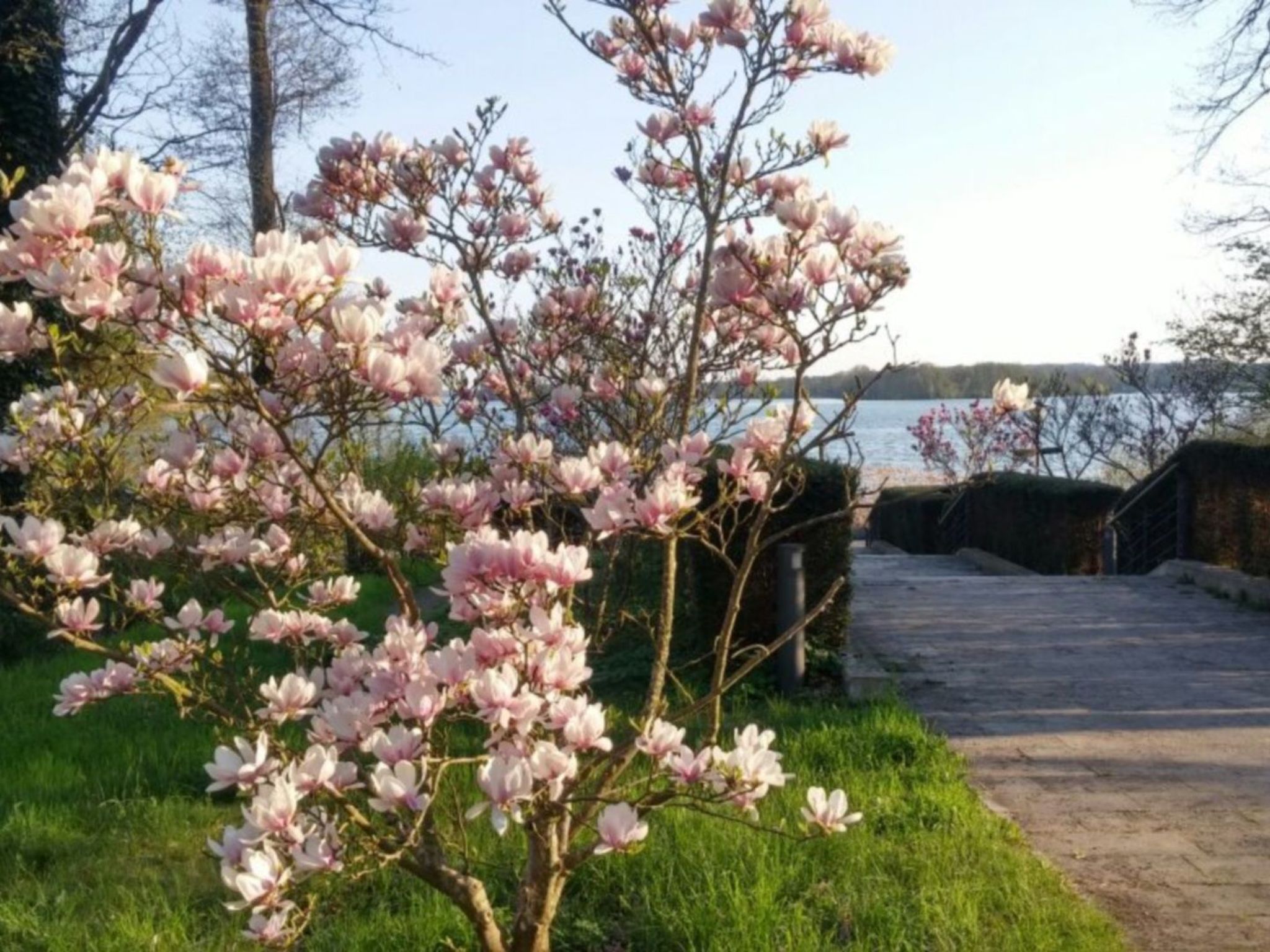 Appartement am See-Binnen