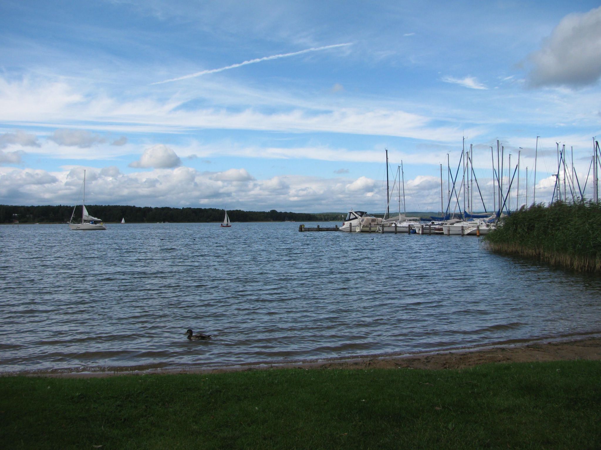 Appartement Nr.12-Inside