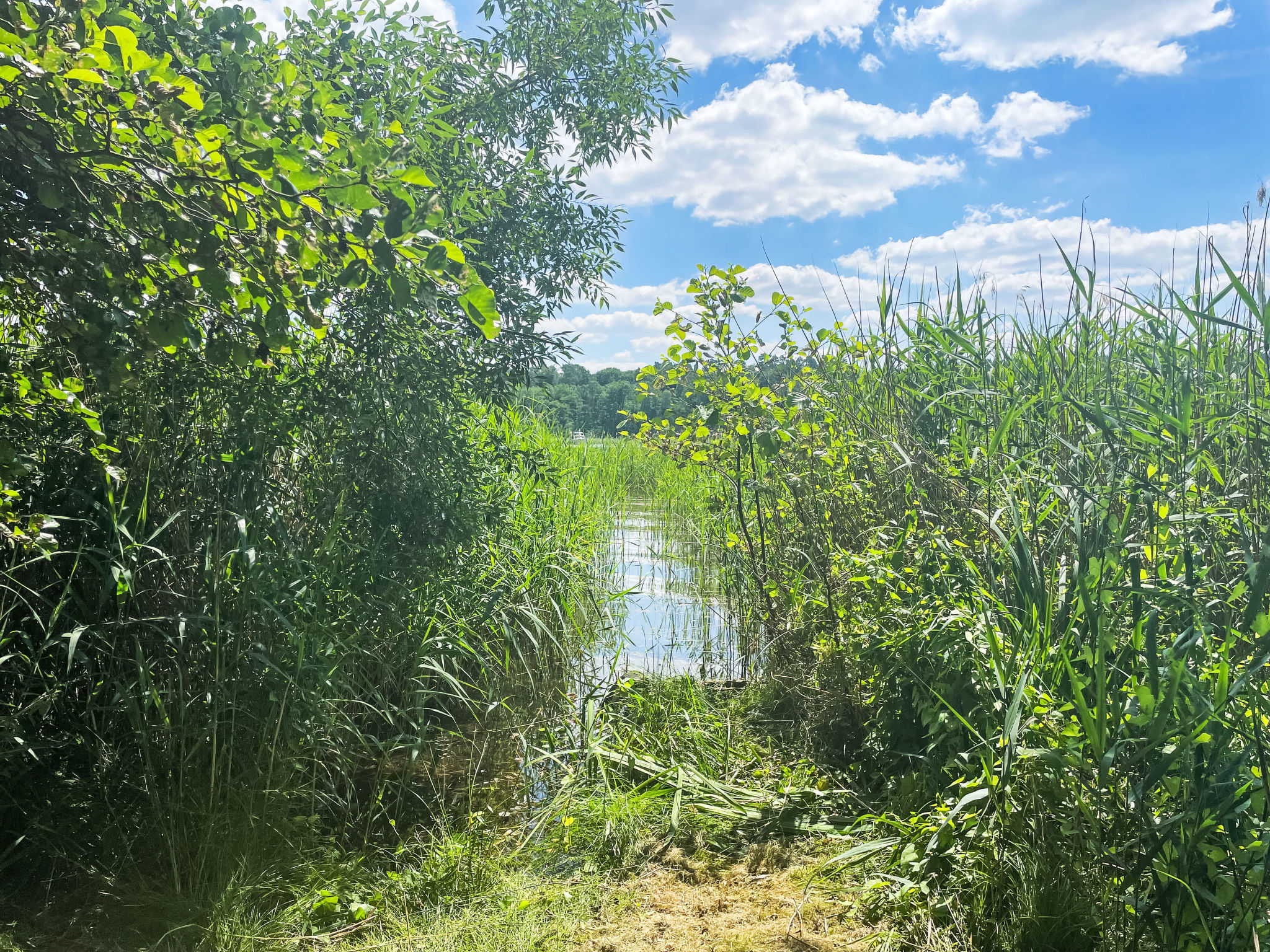 Am Pälitzsee-Buiten