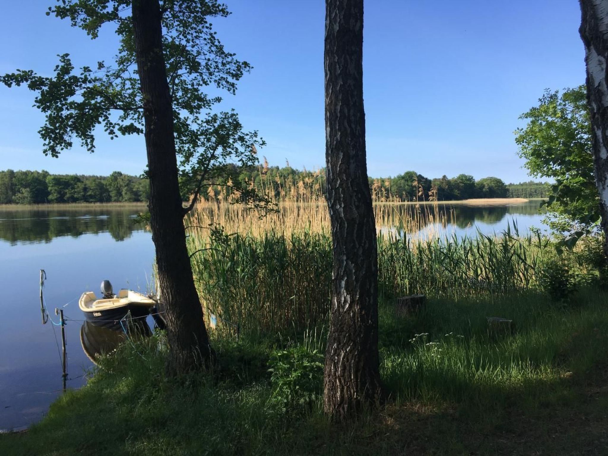 Bungalow Mecklenburgische Seenplatte-Image-tags.info