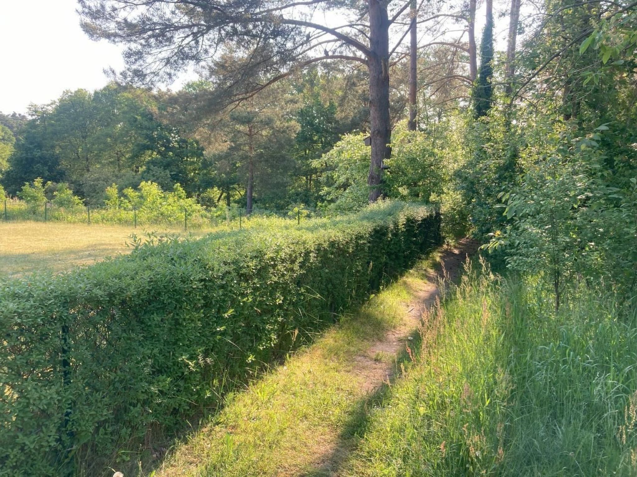 Bungalow Mecklenburgische Seenplatte