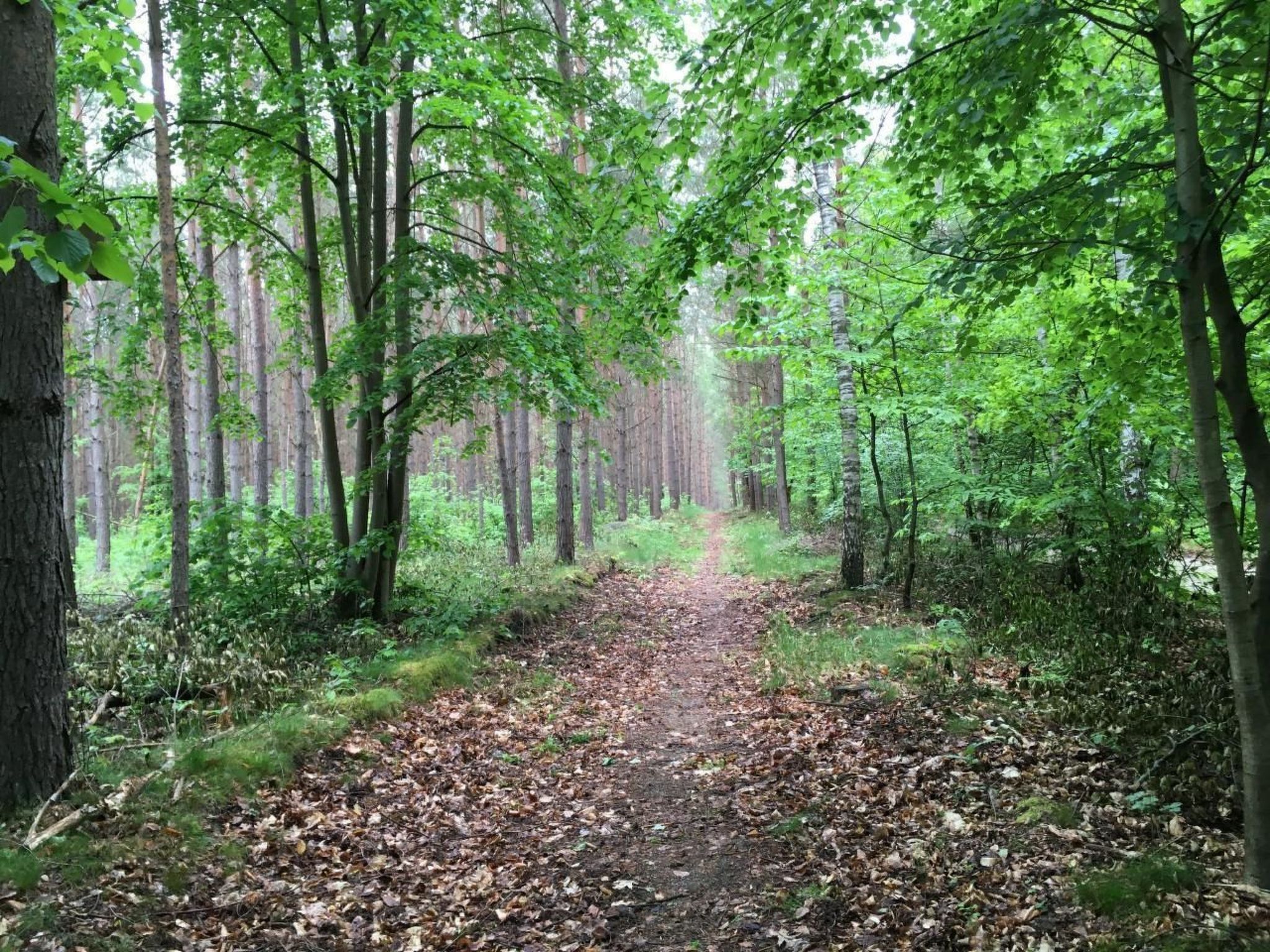 Bungalow Mecklenburgische Seenplatte