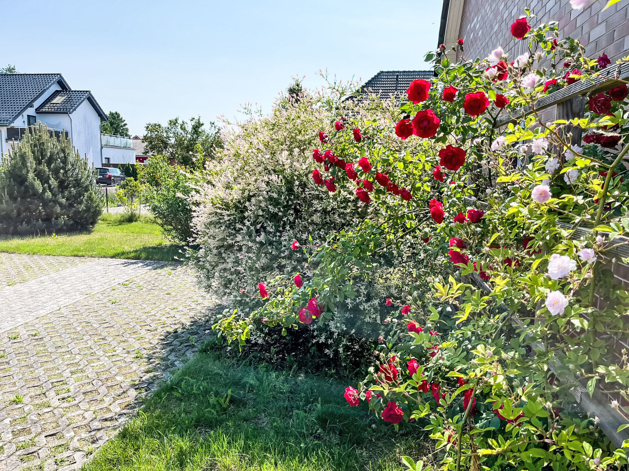 Marei-Buiten