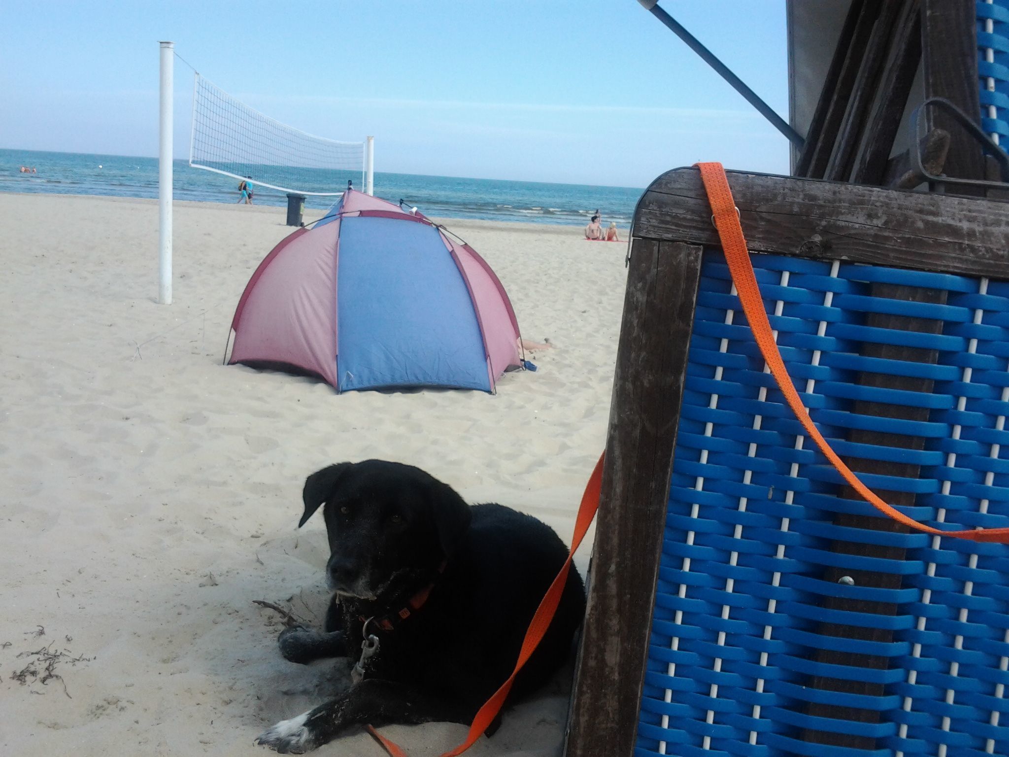 Moderne Wohnung in Karlshagen mit Grill und Garten-Dedans