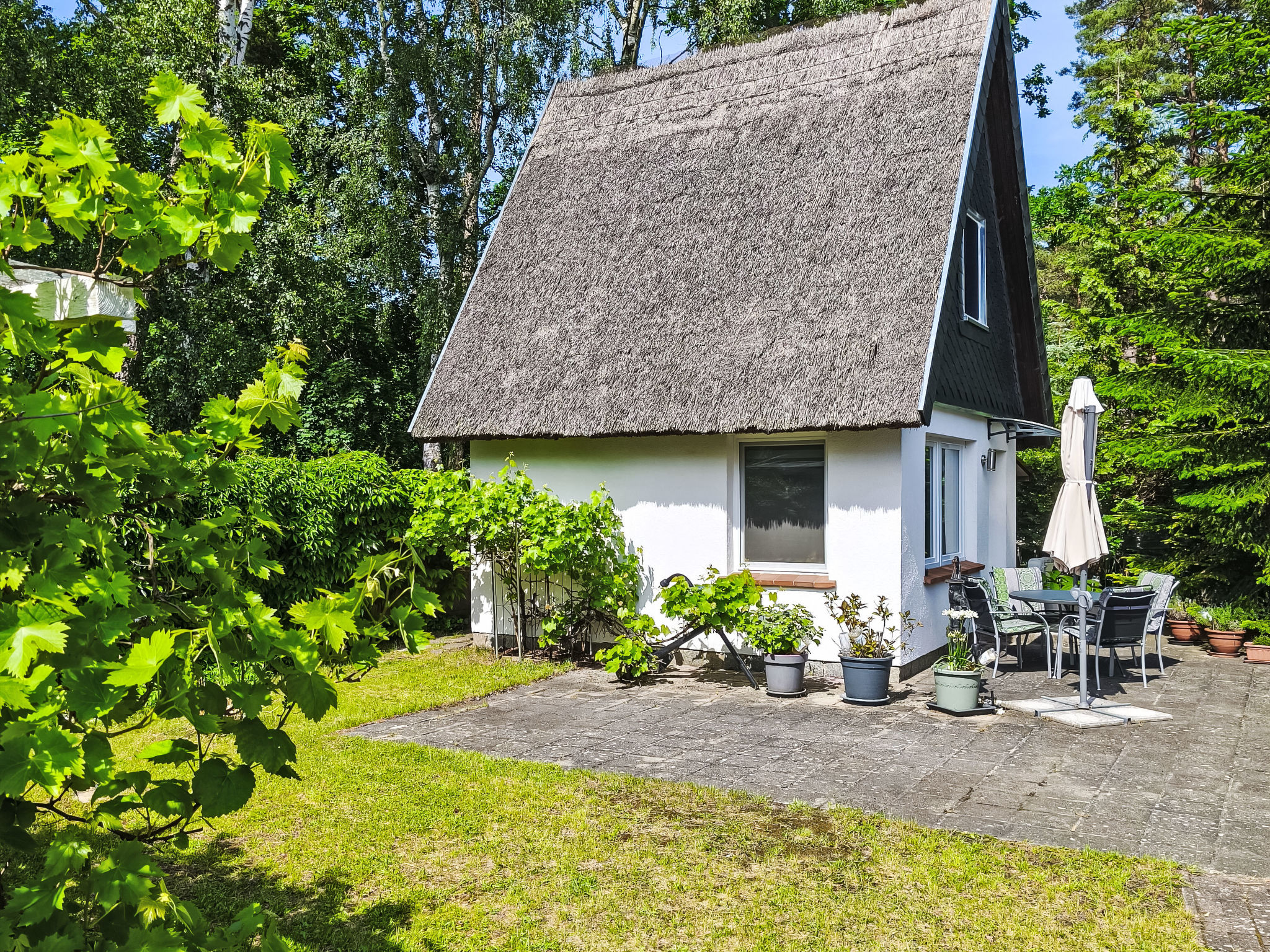 Reetgedecktes Haus