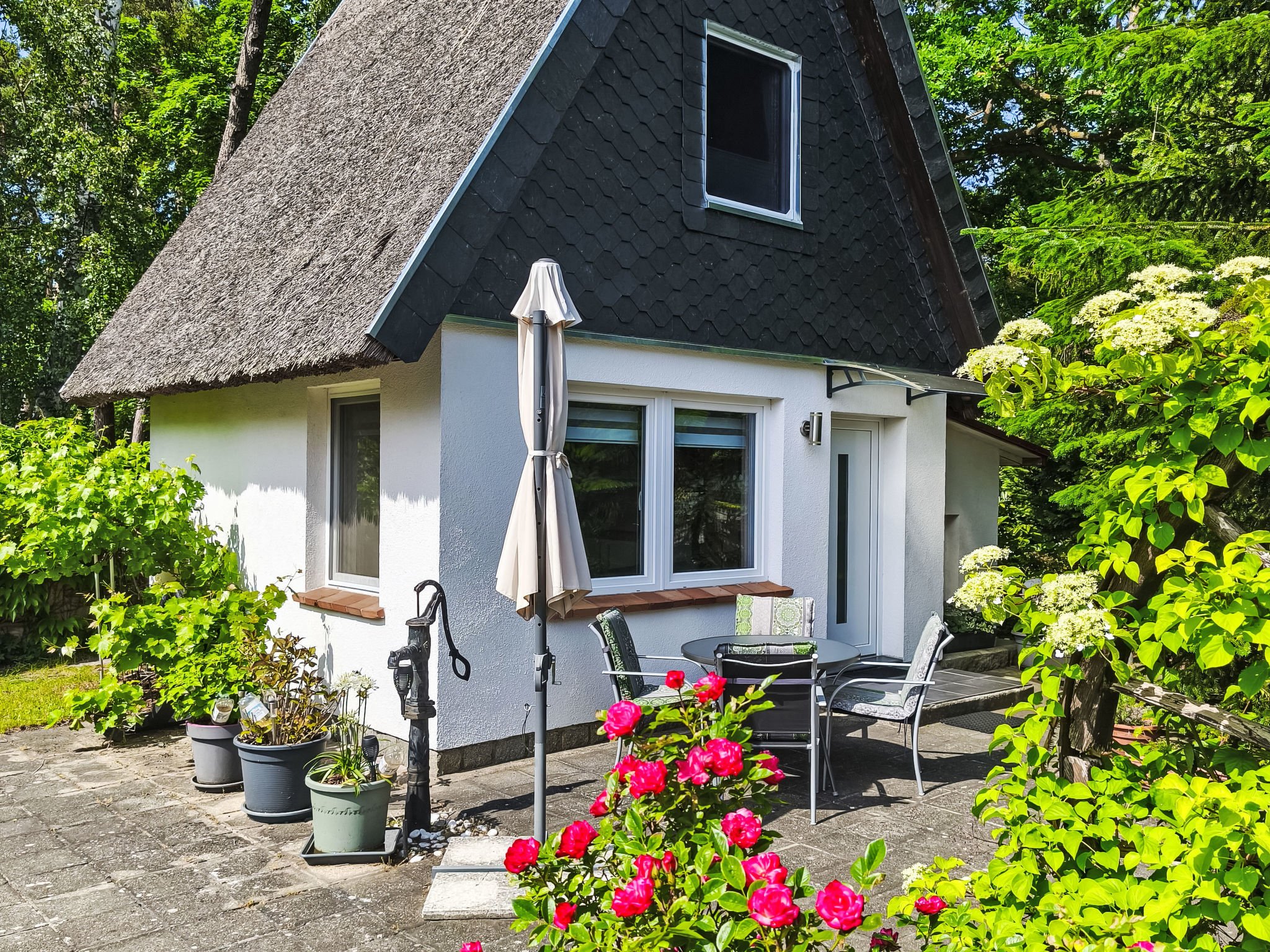 Reetgedecktes Haus