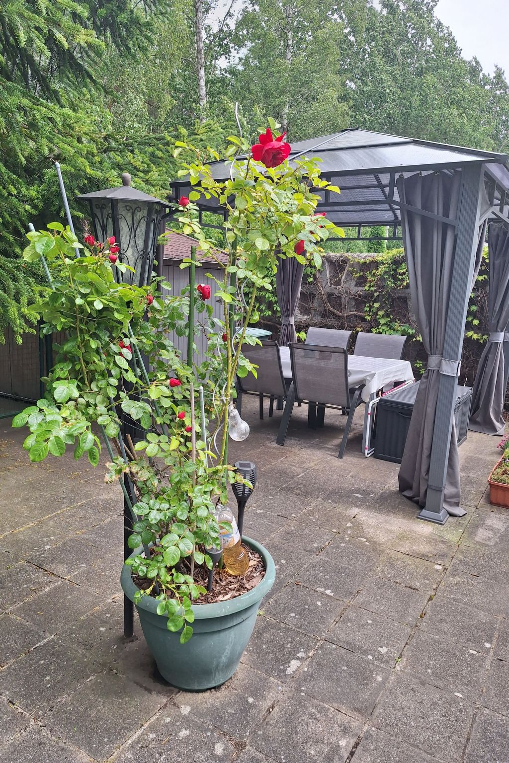 Reetgedecktes Haus-Dedans