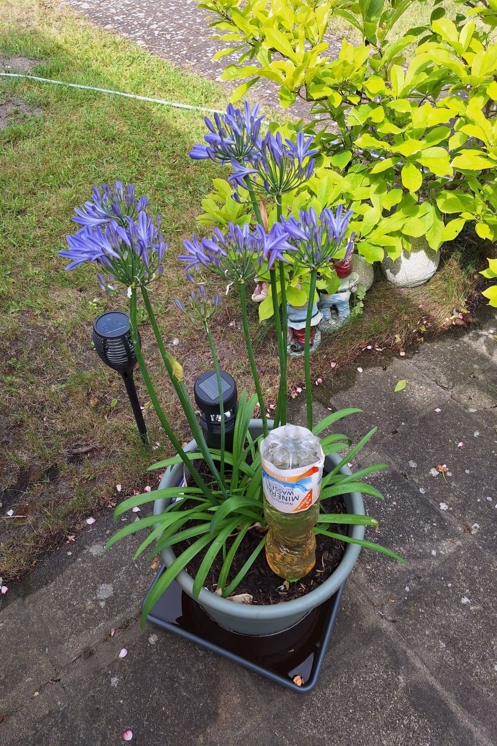 Reetgedecktes Haus-Dedans